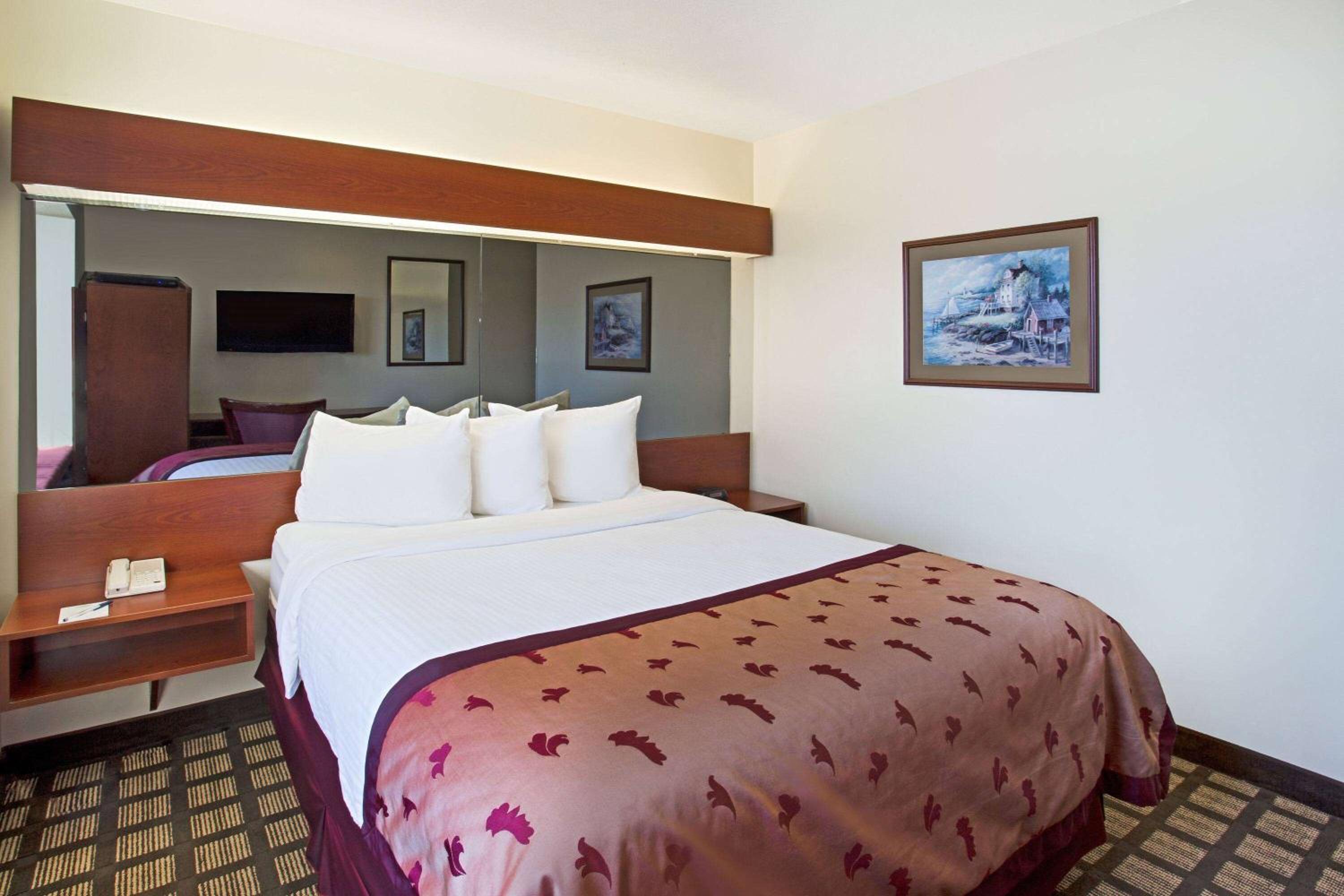 Queen Room - Pet Friendly/Non-Smoking - Photo 2