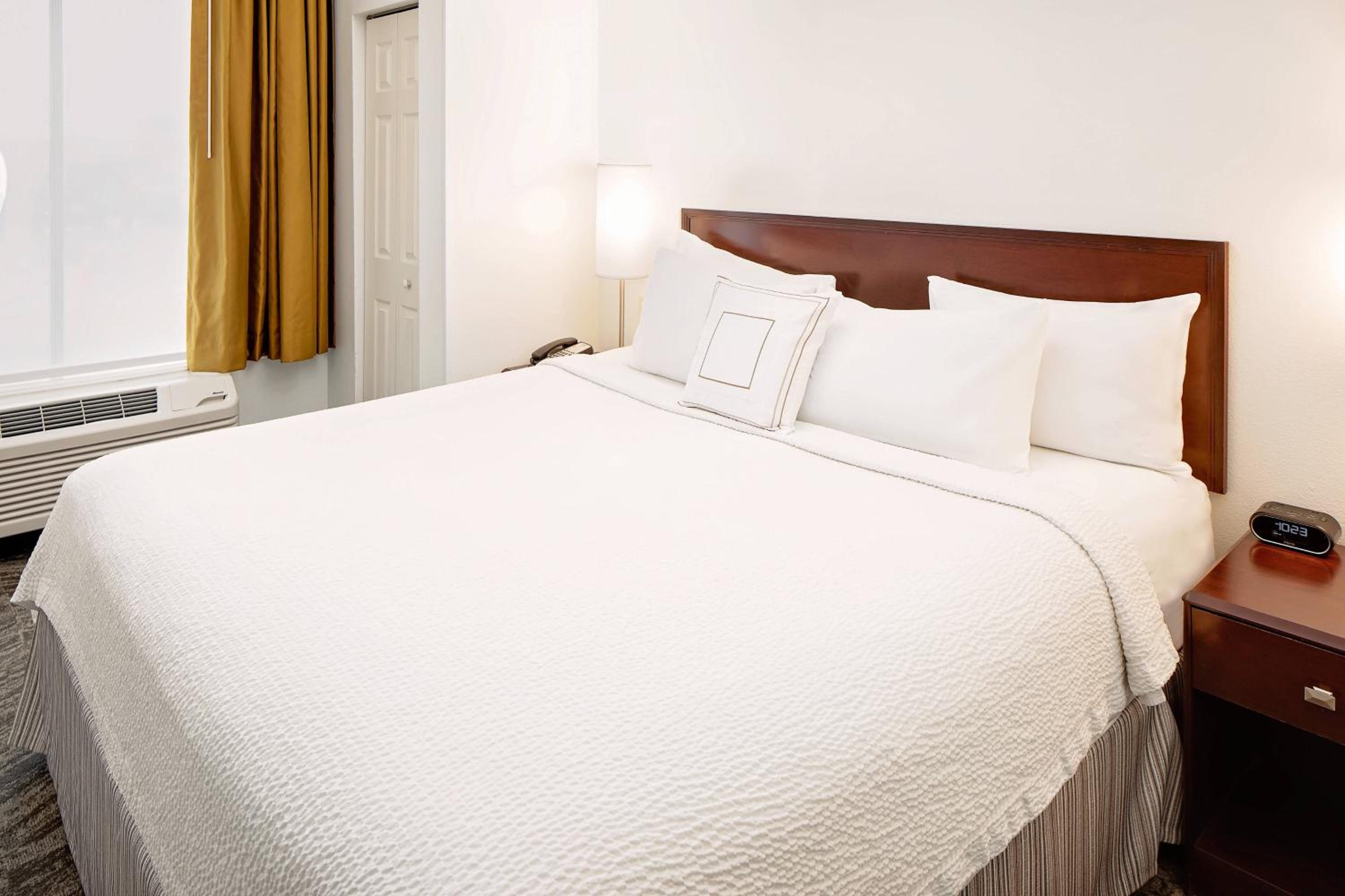 King Suite with Sofa Bed
