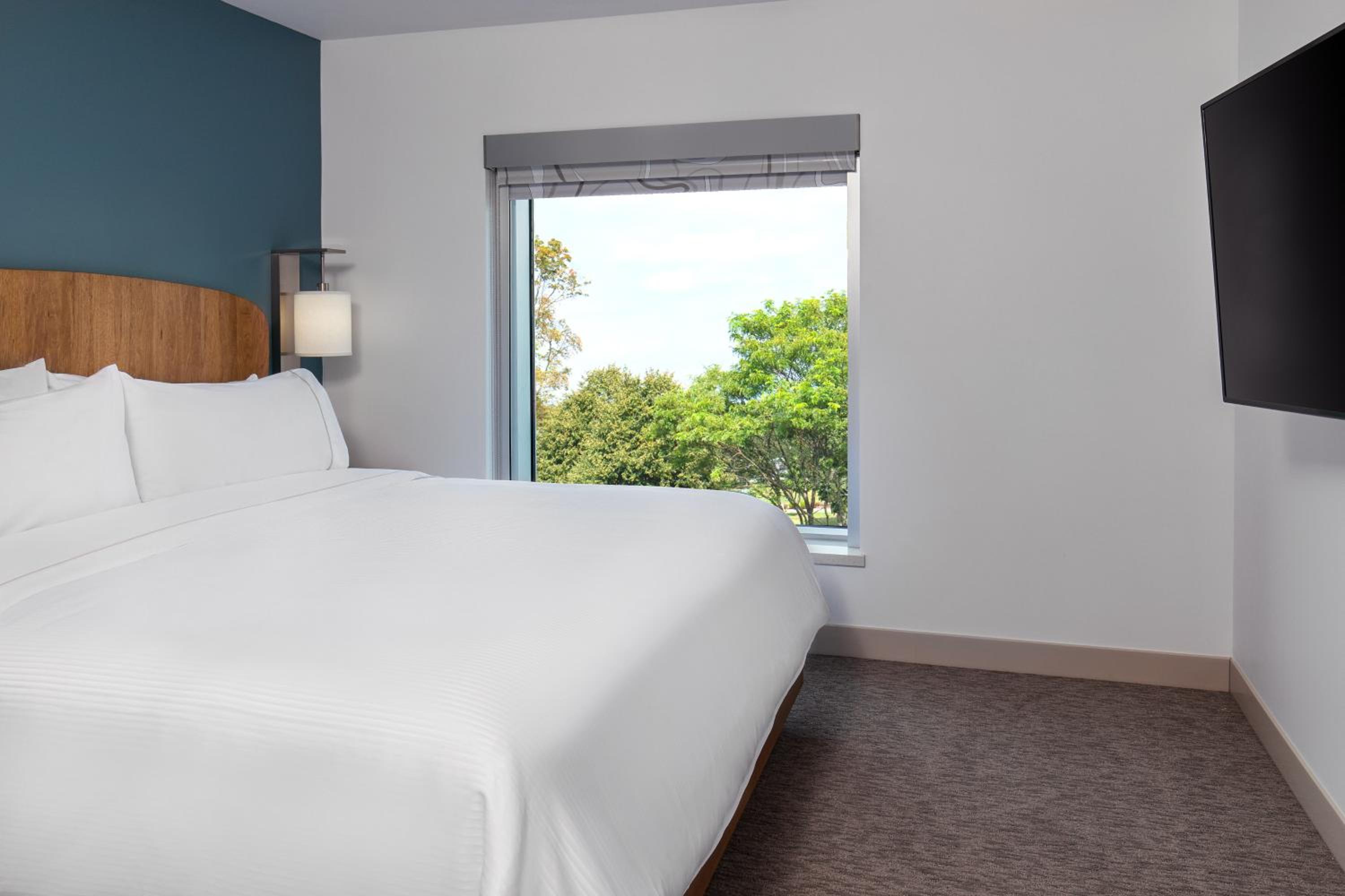 1 Bedroom Suite, 1 King, Sofa bed - Photo 3