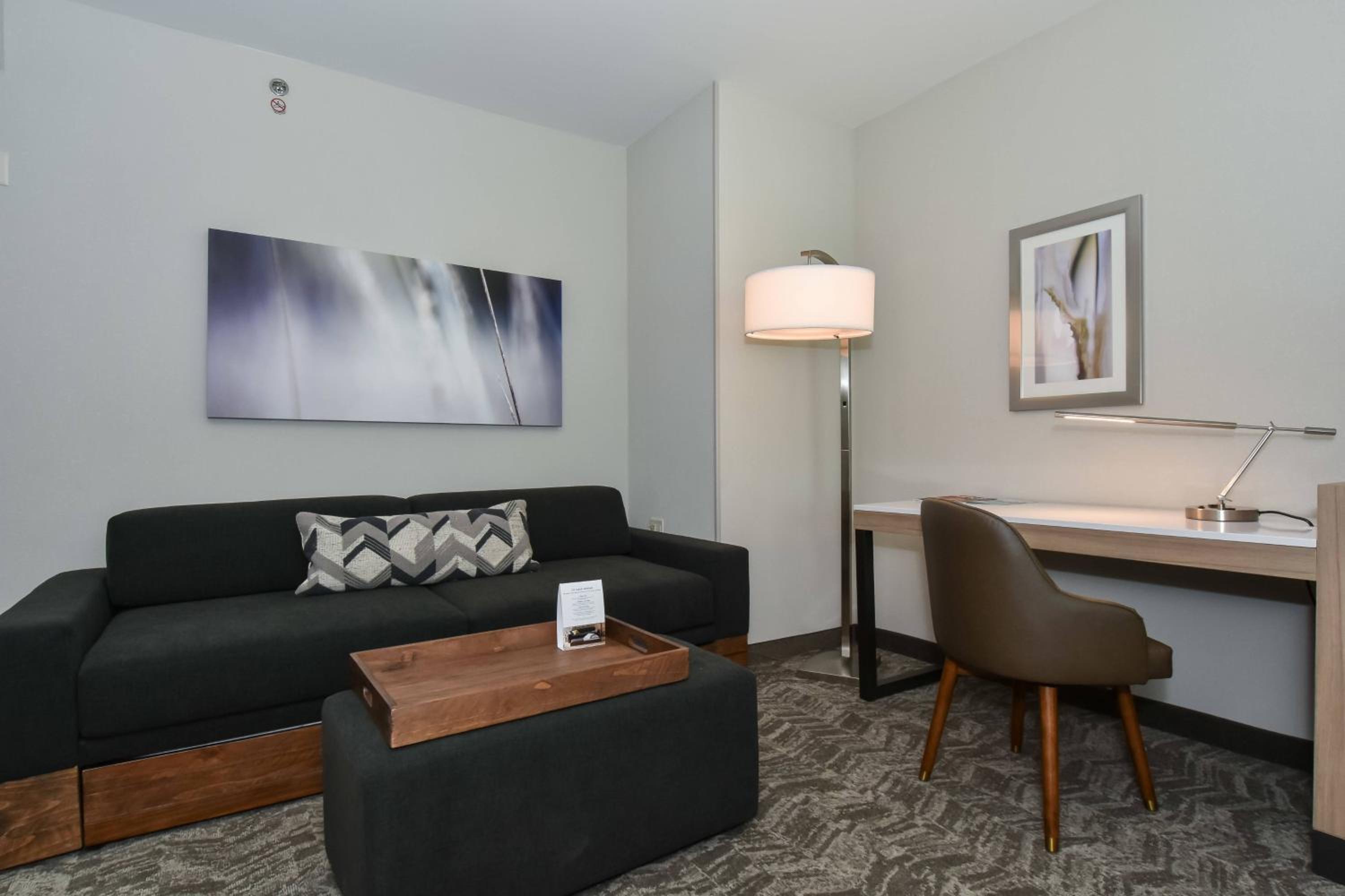 King Suite with Roll-In Shower and Trundle Sofa - Mobility Access/Hearing Accessible