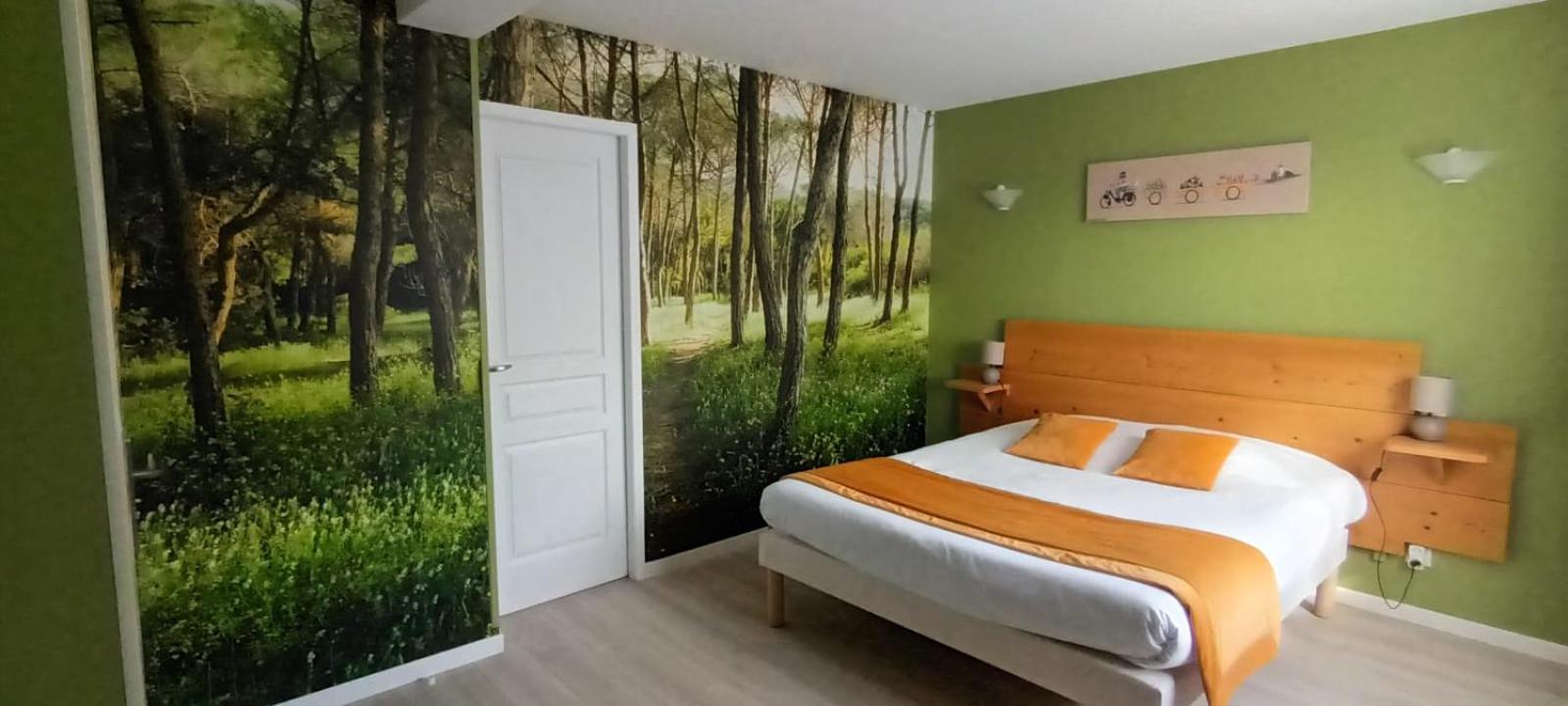 Deluxe Room - Photo 5