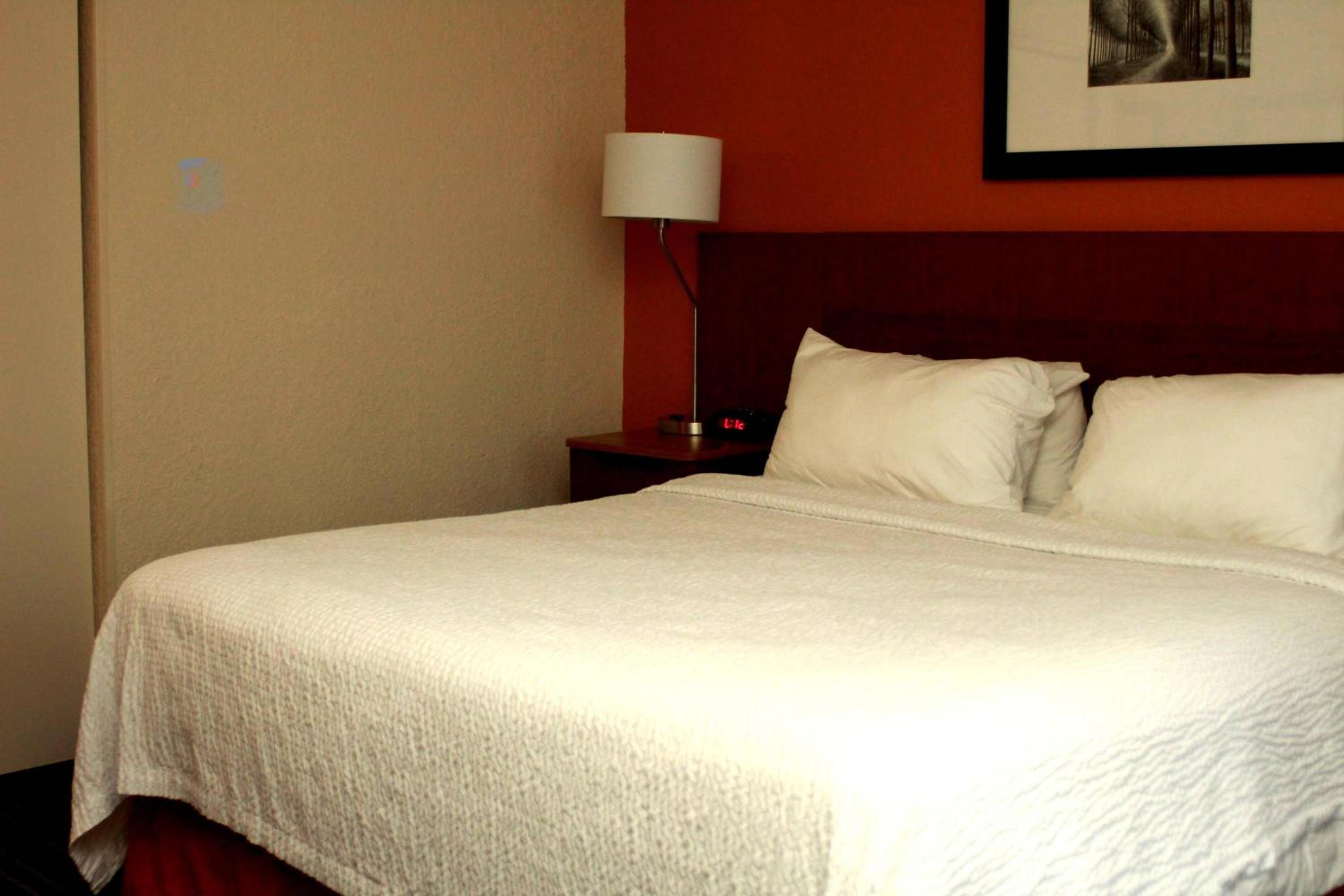 King Suite with Sofa Bed - Photo 1
