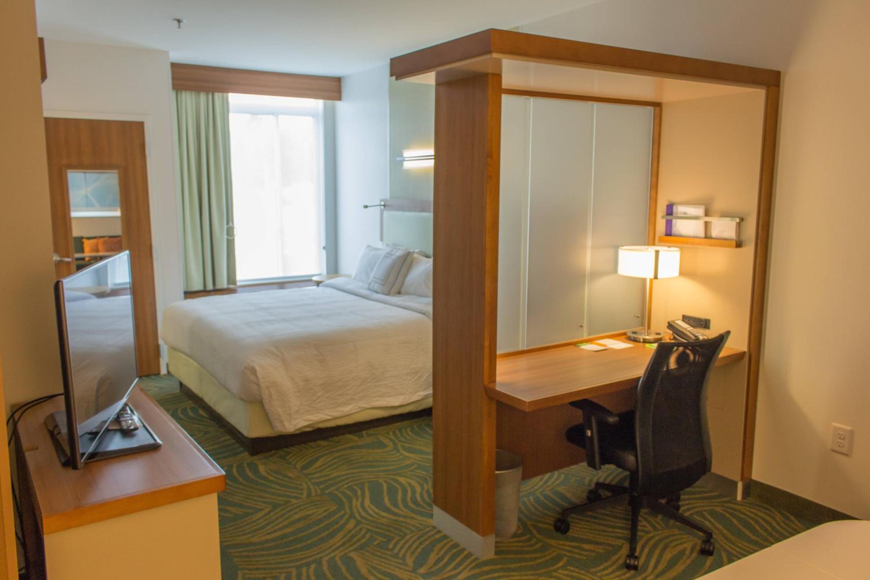 King Suite with Sofa Bed