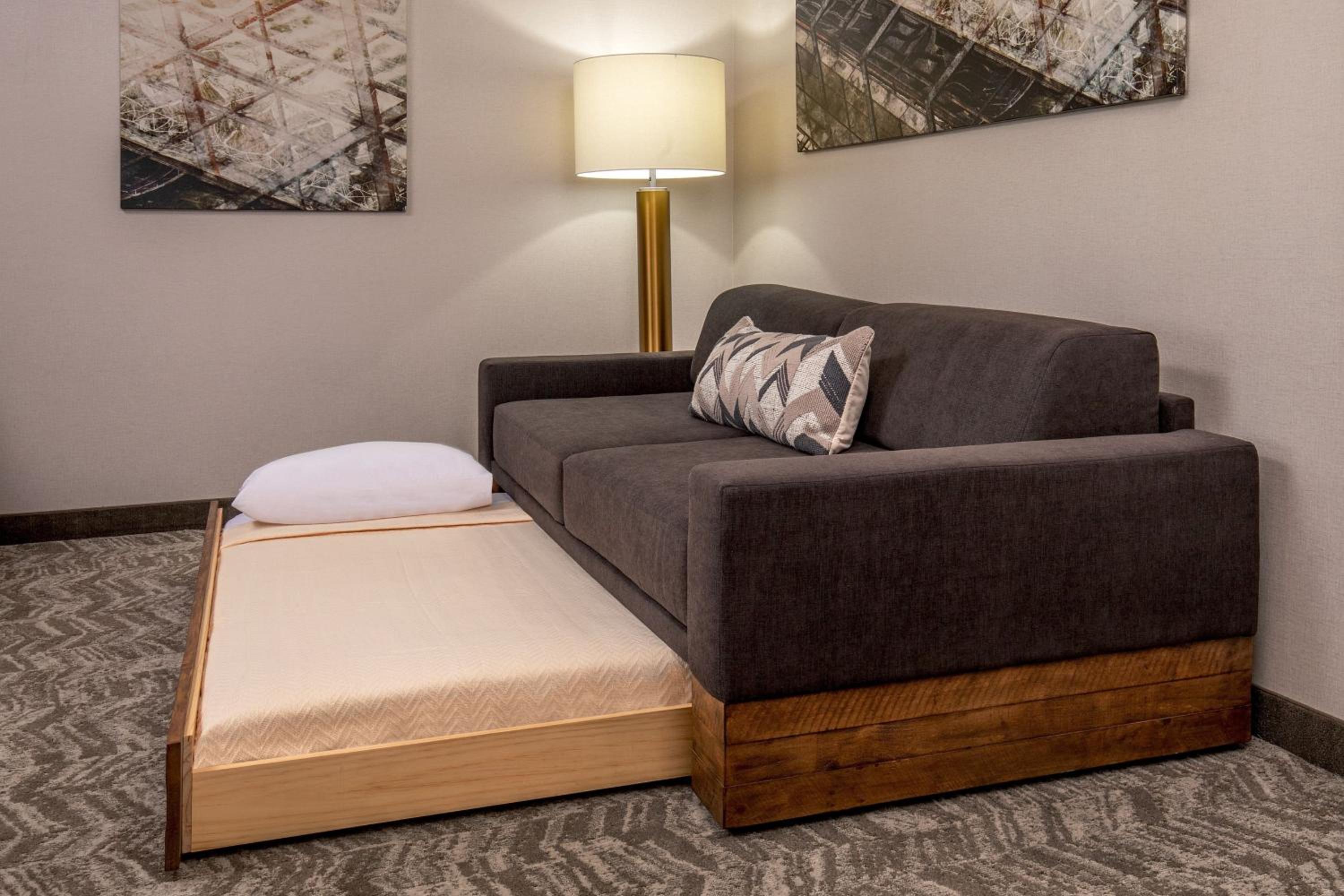 Queen Suite with Two Queen Beds and Trundle Sofa - Photo 9