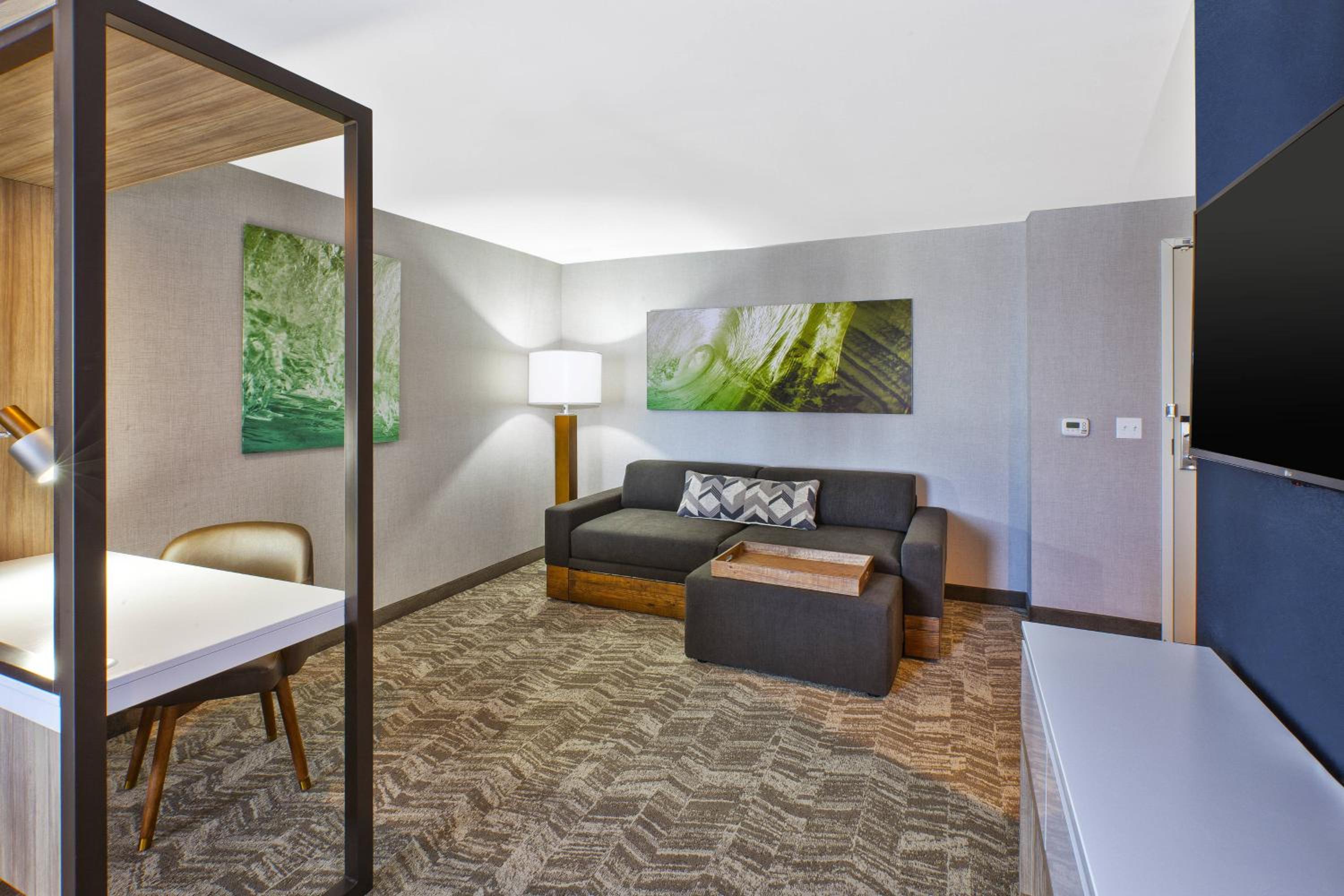 King Suite photo 2