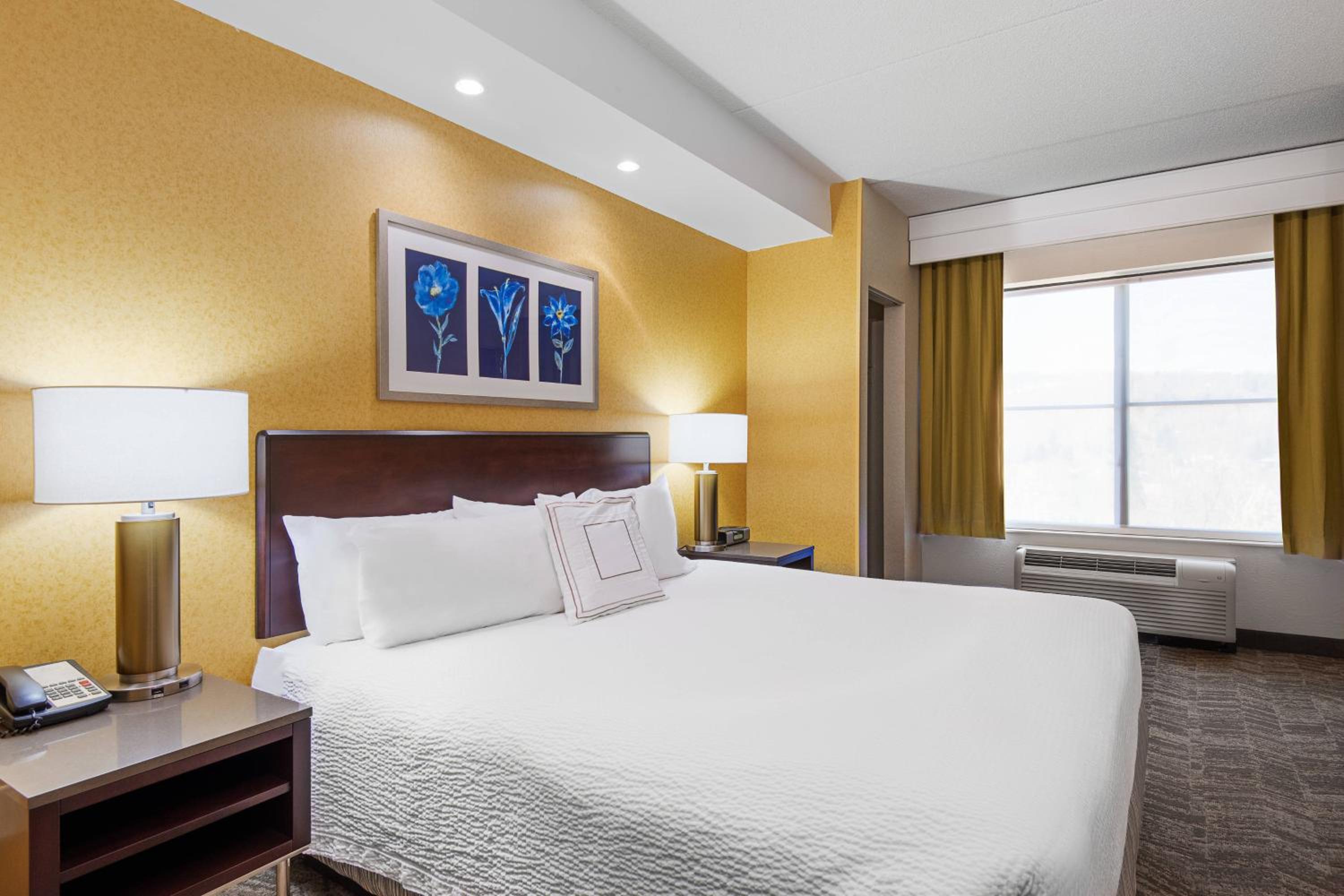 King Suite with Sofa Bed - Photo 1