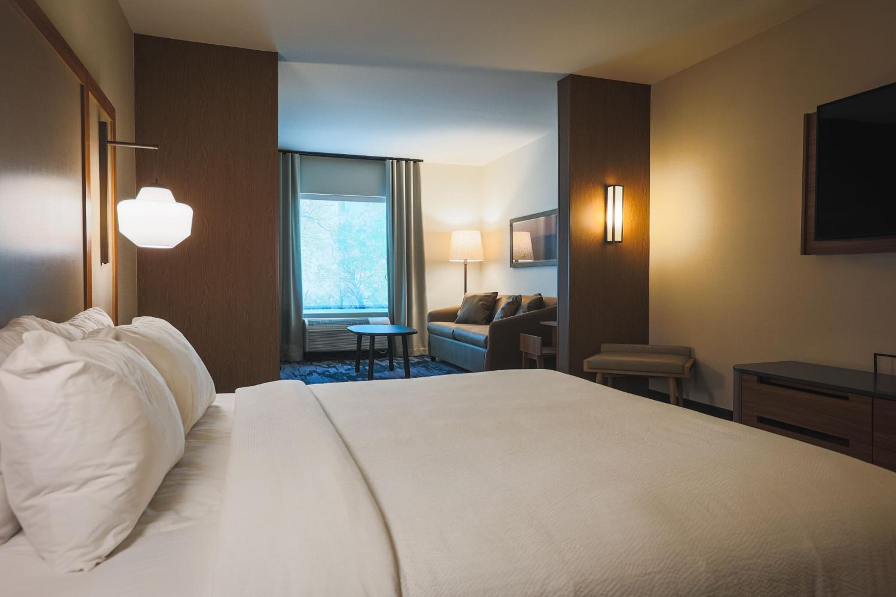 Suite, 1 King, Sofa bed                             - Photo 3