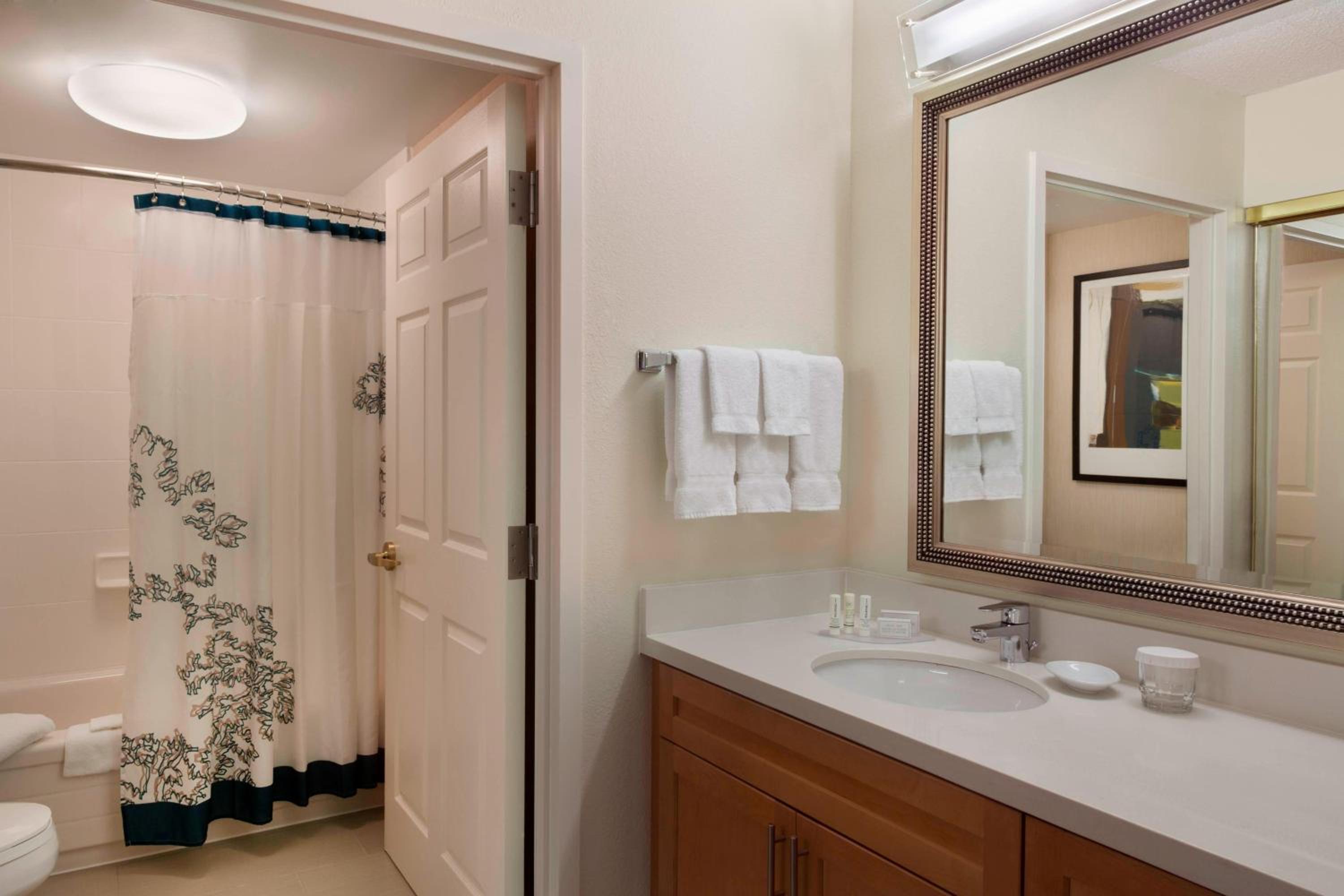 One-Bedroom Queen Suite with Sofa Bed - Photo 4