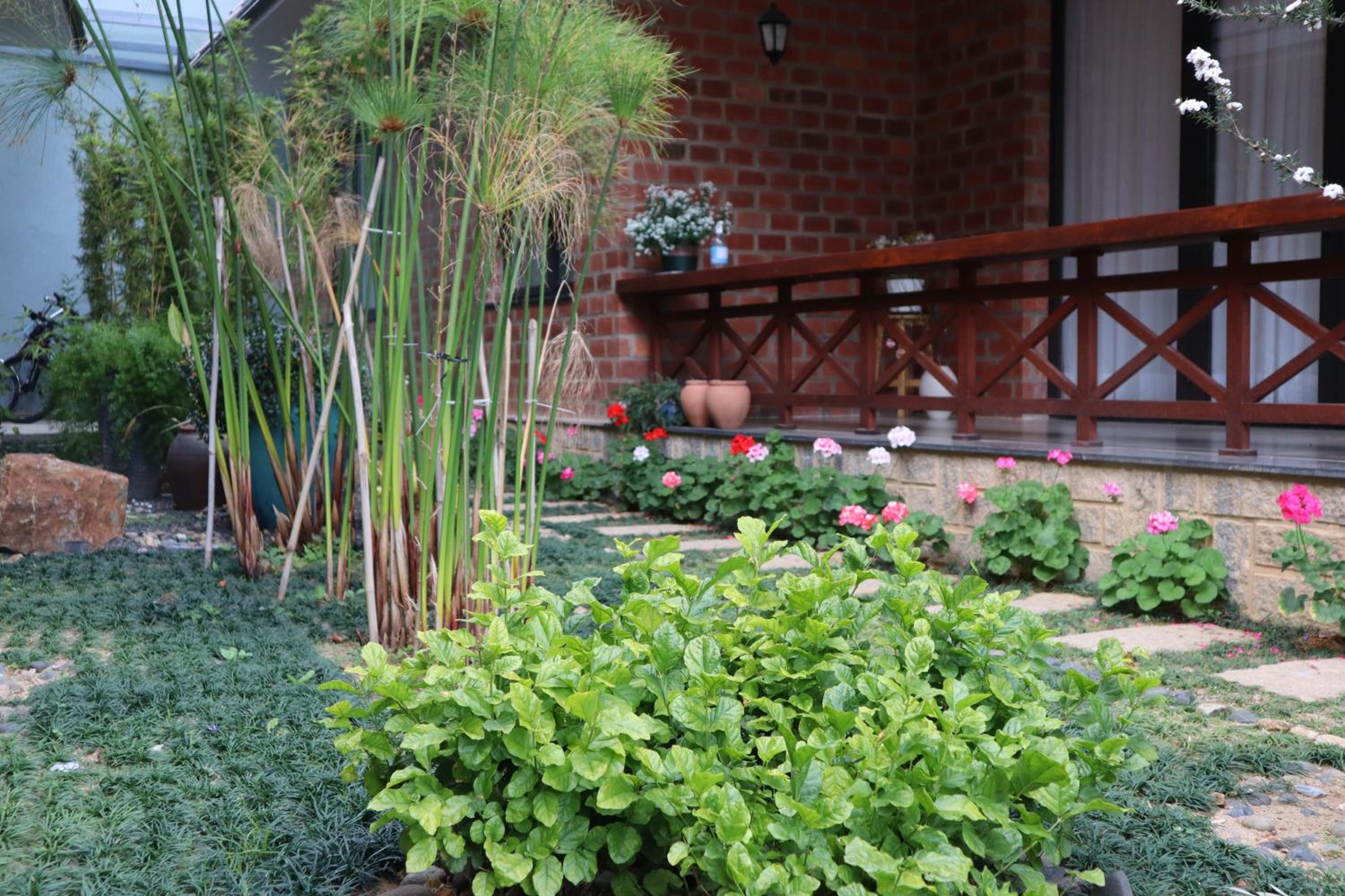 Villa - Photo 5