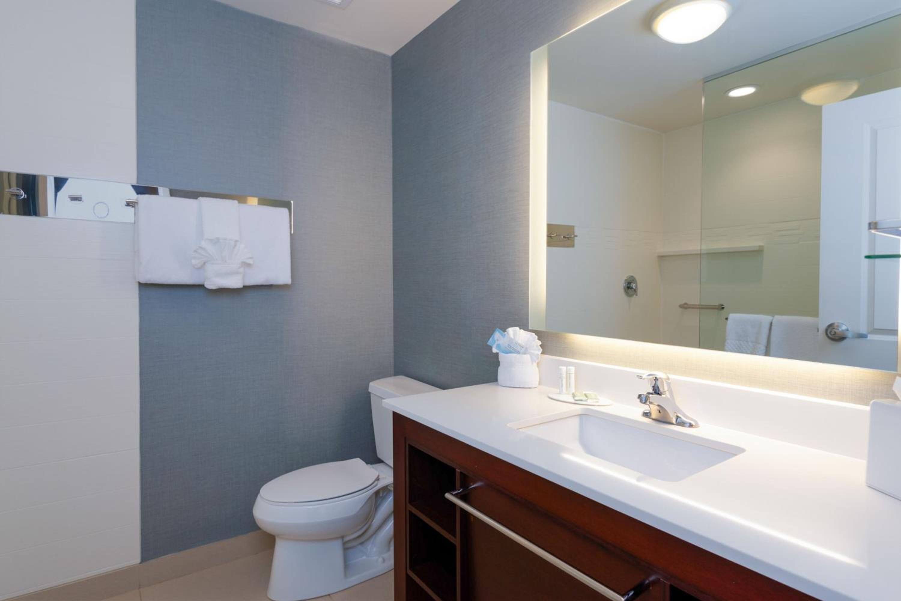 One-Bedroom Queen Suite with Sofa Bed and Adapted Tub - Mobility and Hearing Accessible photo 3