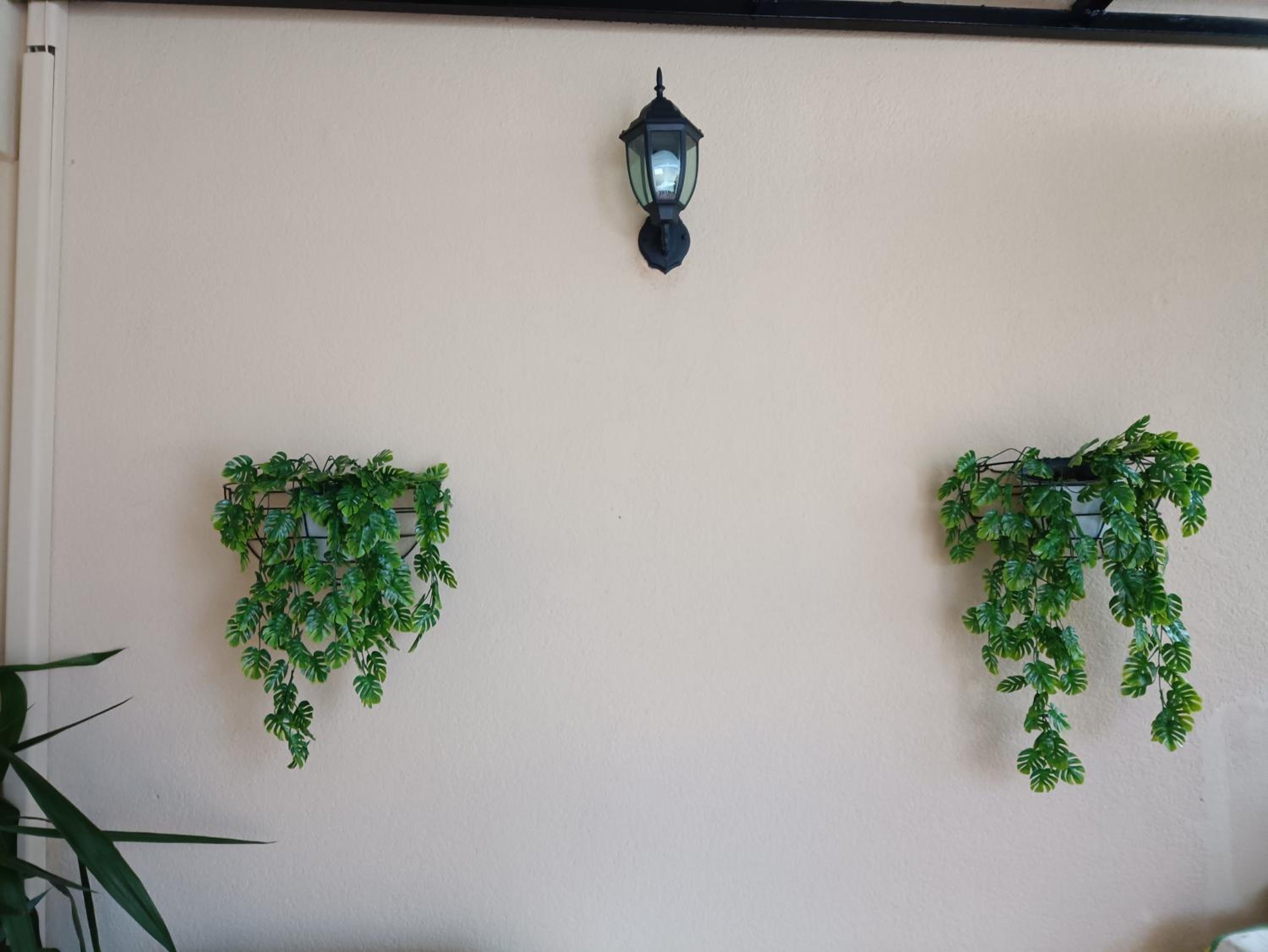 Studio with Terrace - Photo 8