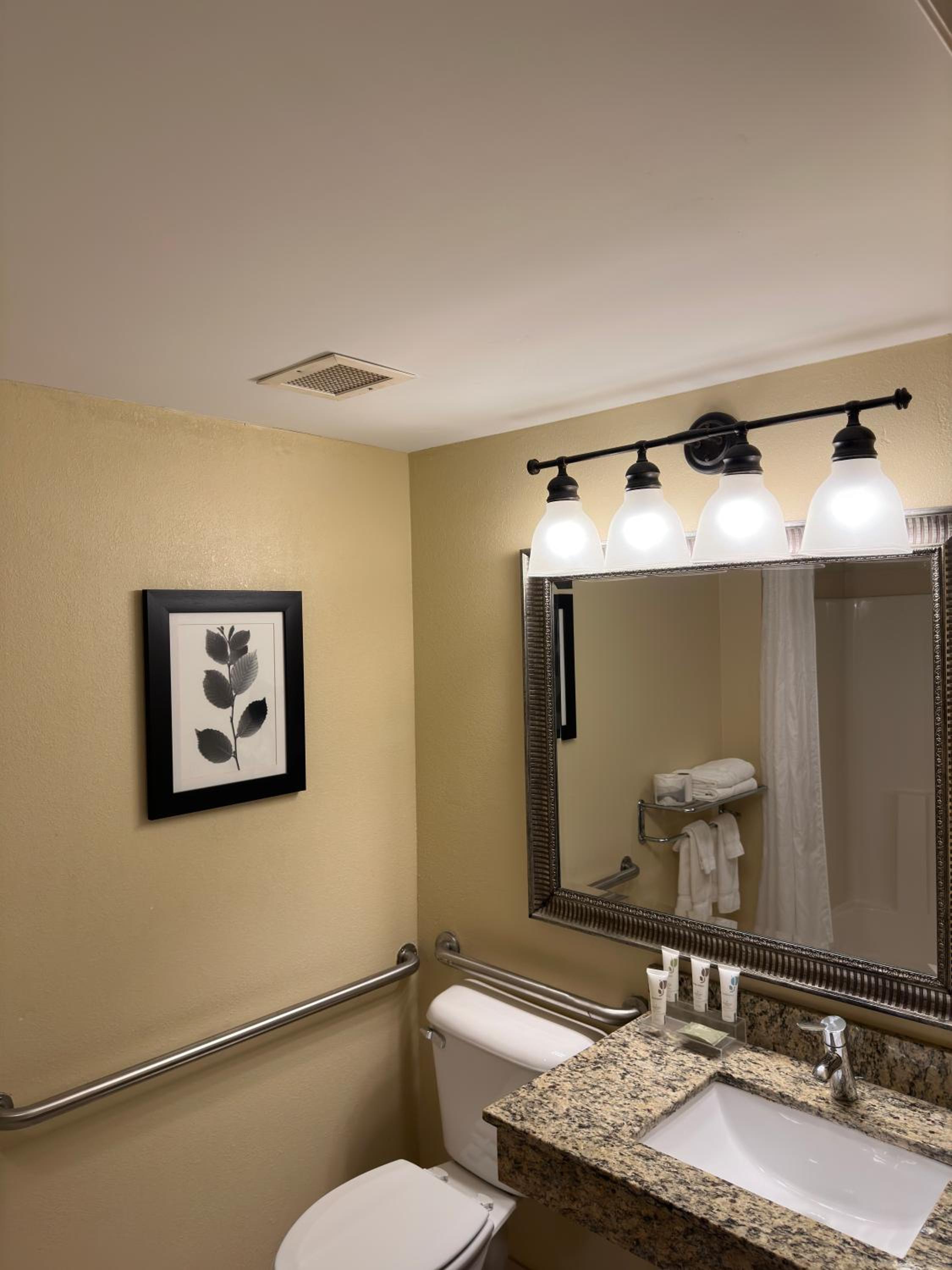 One-Bedroom King Suite with Sofa Bed - Photo 3