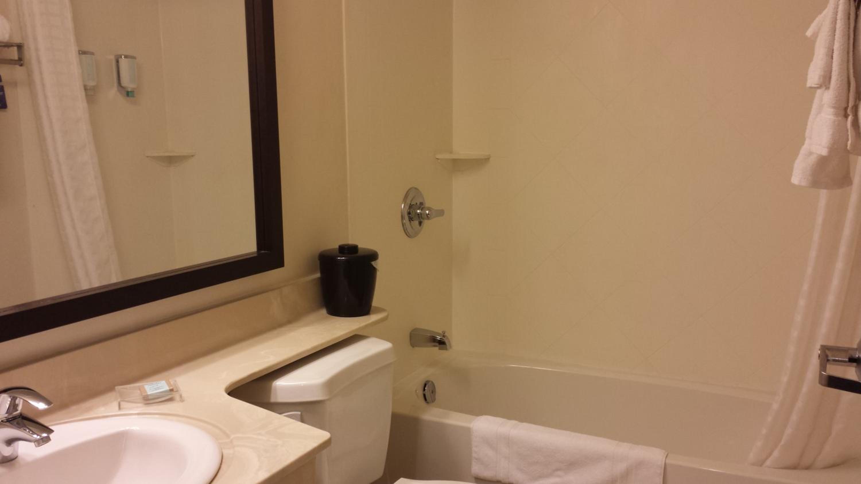 One-Bedroom King Suite - Non-Smoking - Photo 6