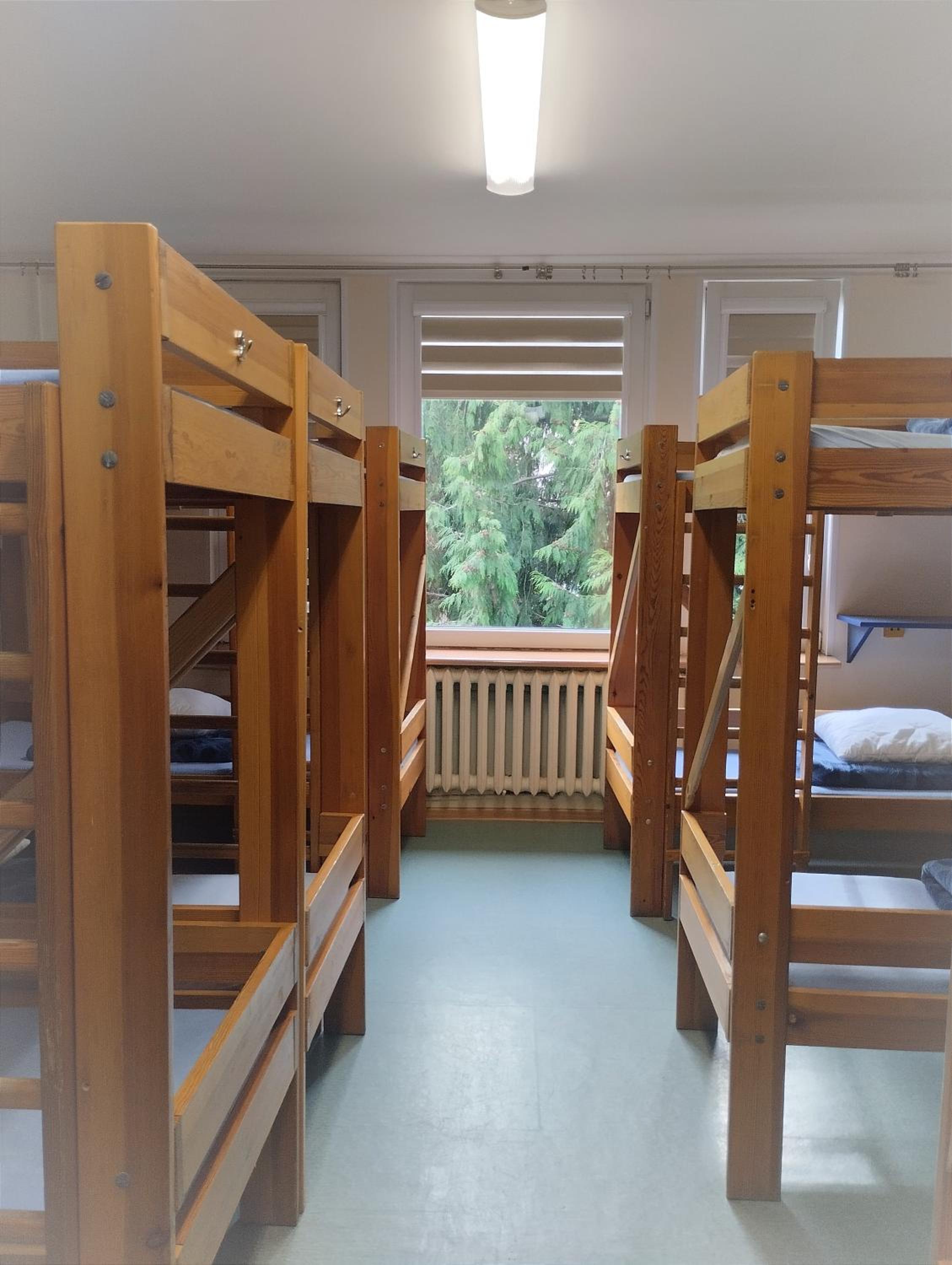 Single Bed in Dormitory Room photo 1