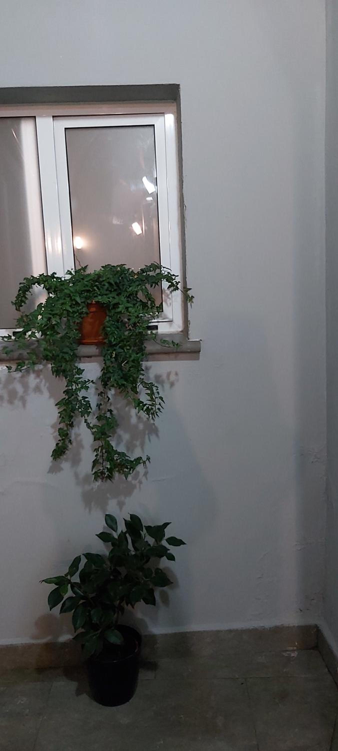 Double Room with Spa Bath - Photo 9