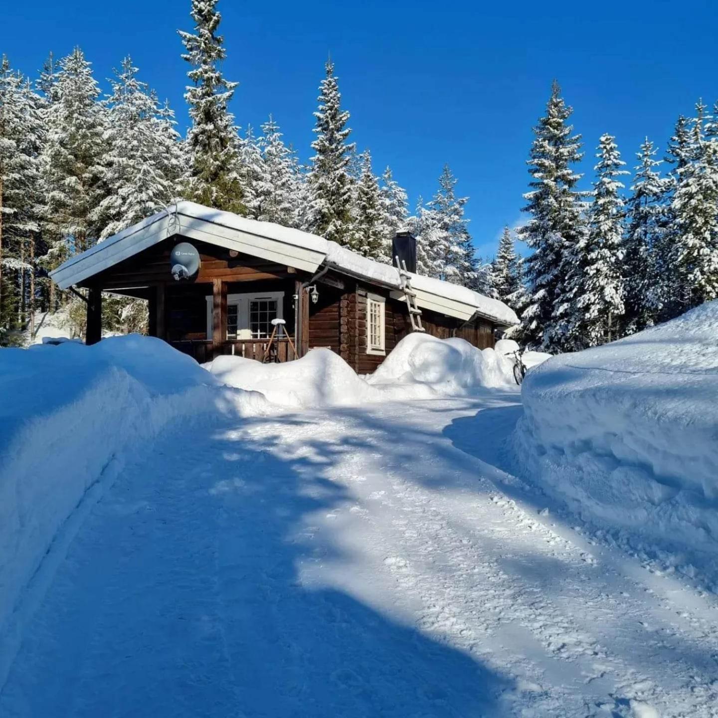 Three-Bedroom Chalet photo 2