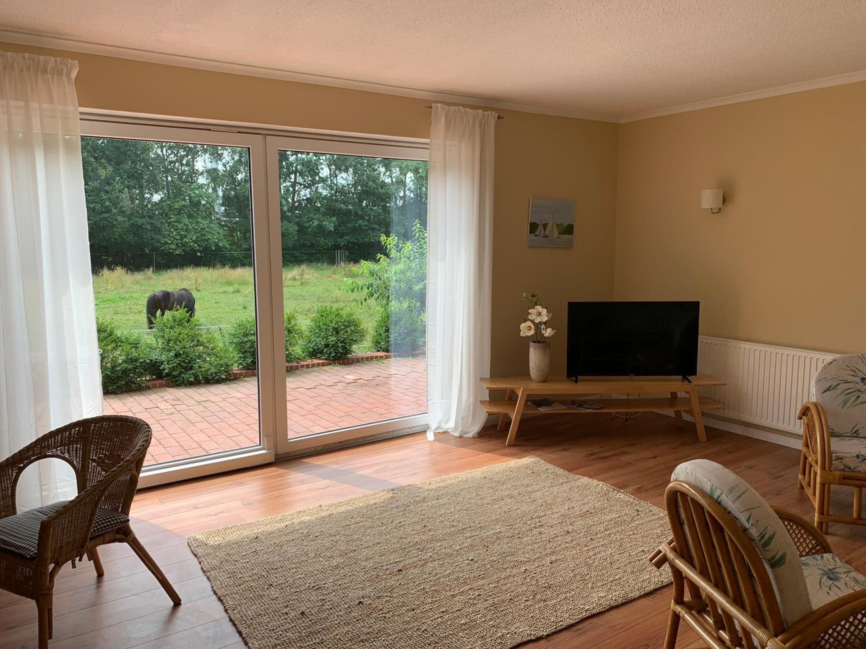 Apartment with Terrace photo 1