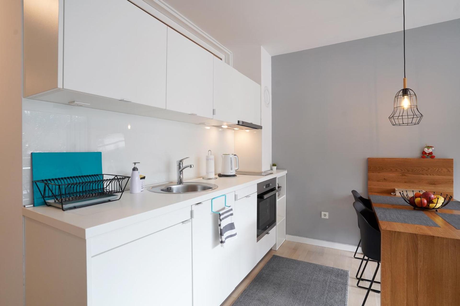 One-Bedroom Apartment photo 3