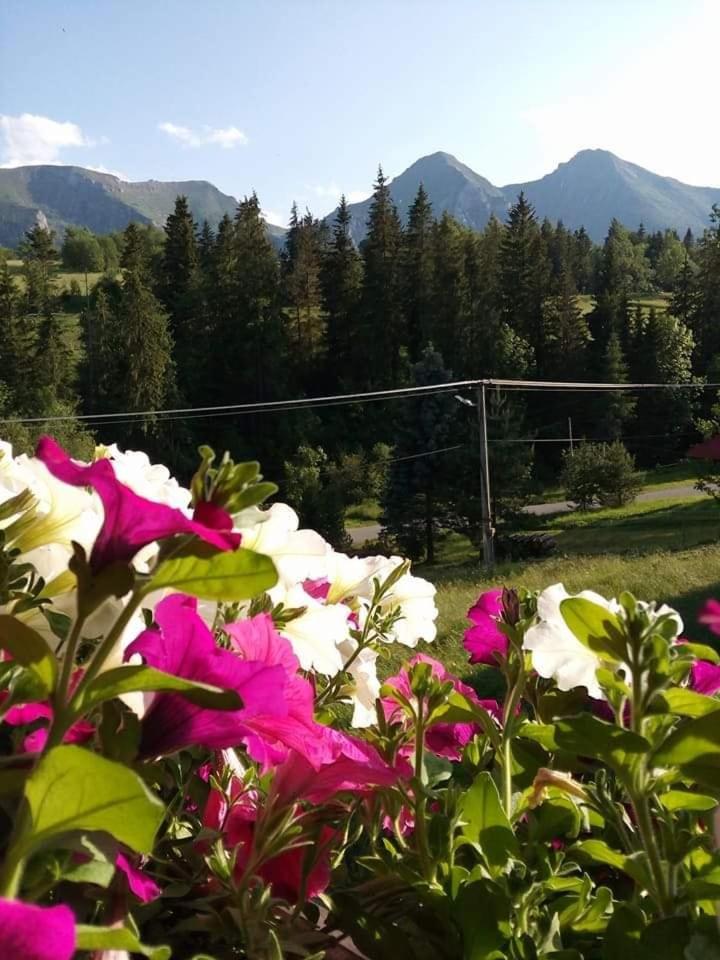 Triple Room with Mountain View - Photo 4