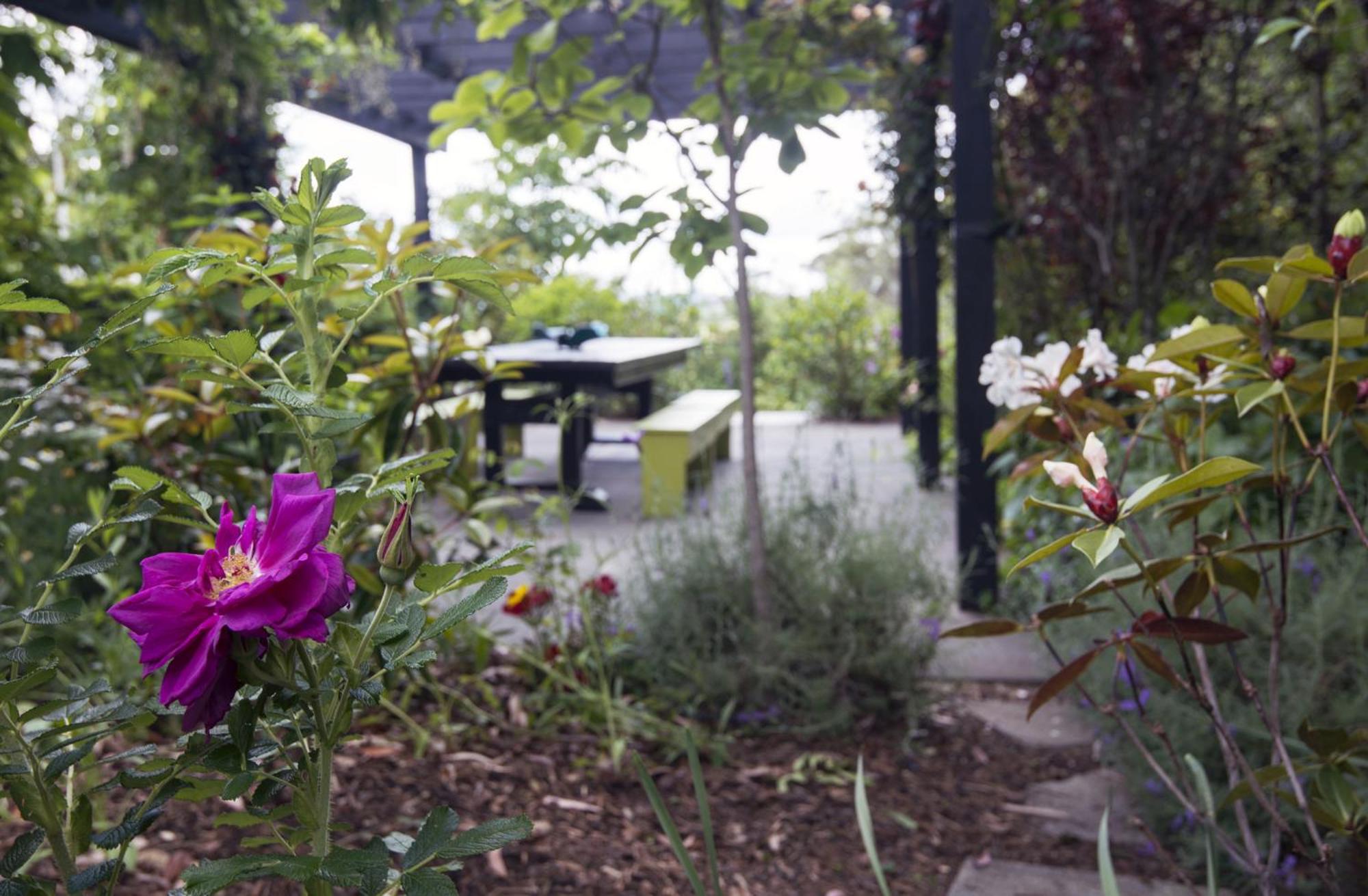 Birdsong Retreat  photo 2