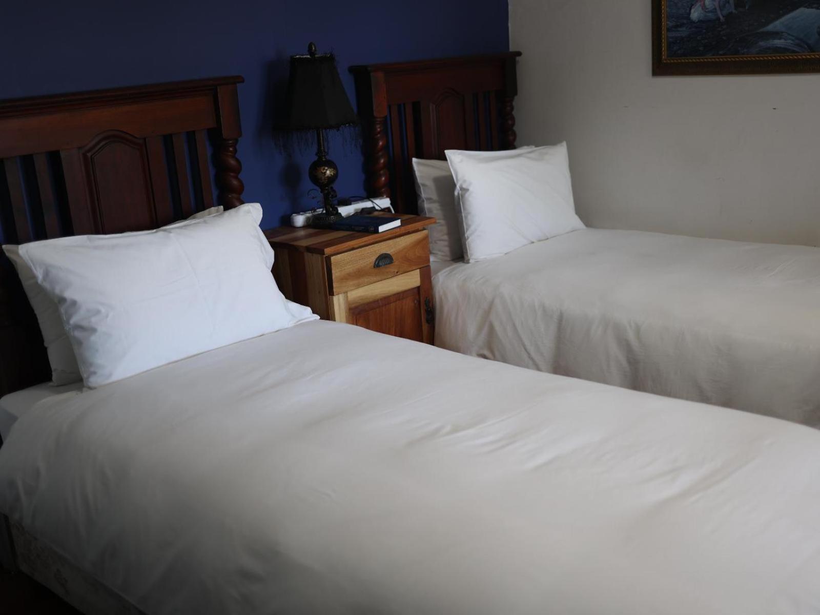 Comfort Twin Room photo 3
