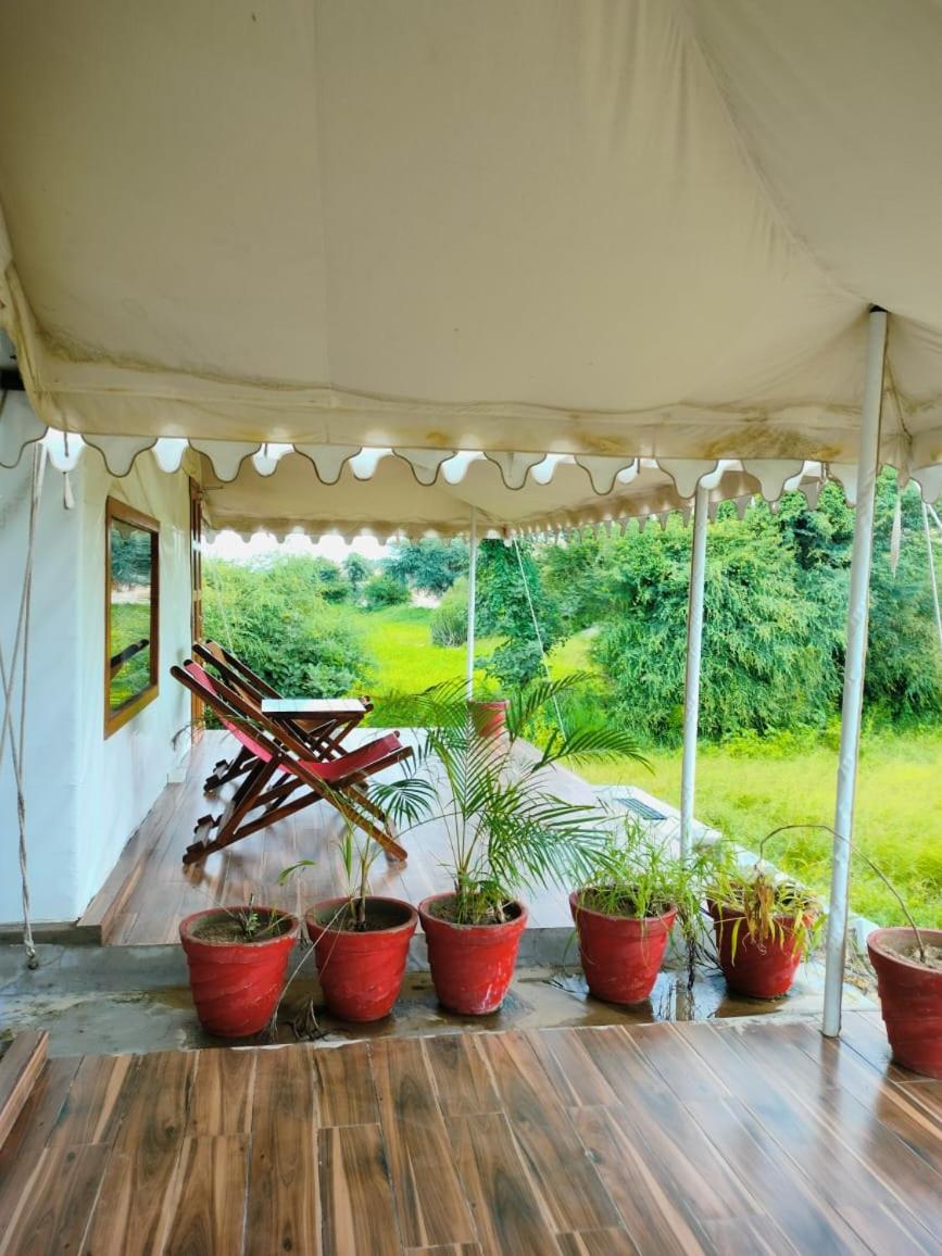 Tent photo 2