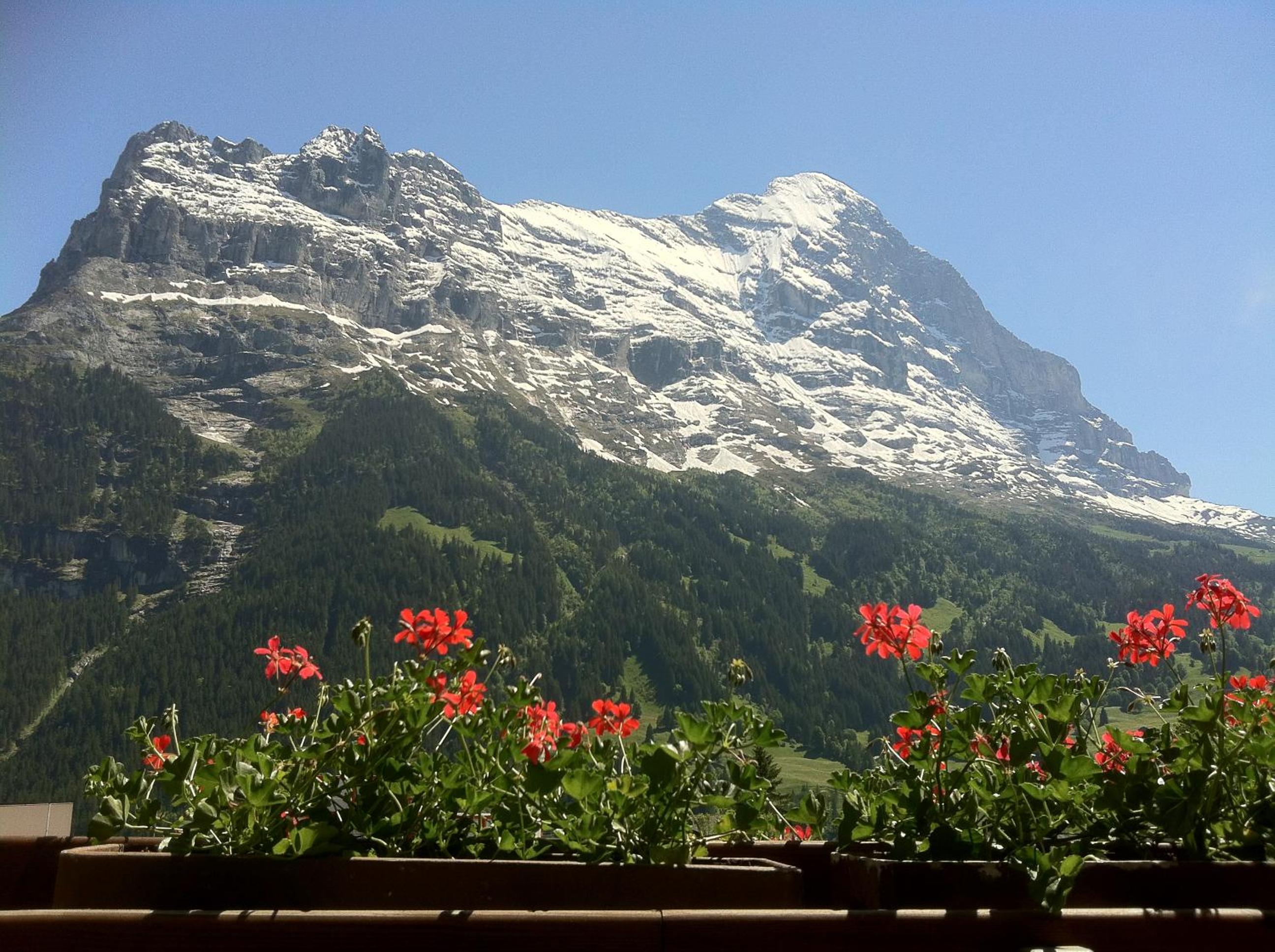 Superior Double Room with Eiger View - Photo 6