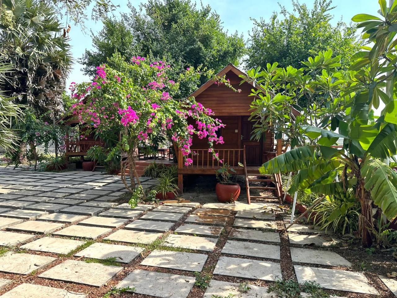 Standard Bungalow - Photo 2