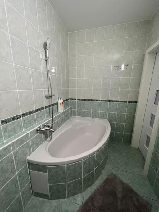 One-Bedroom Apartment photo 3