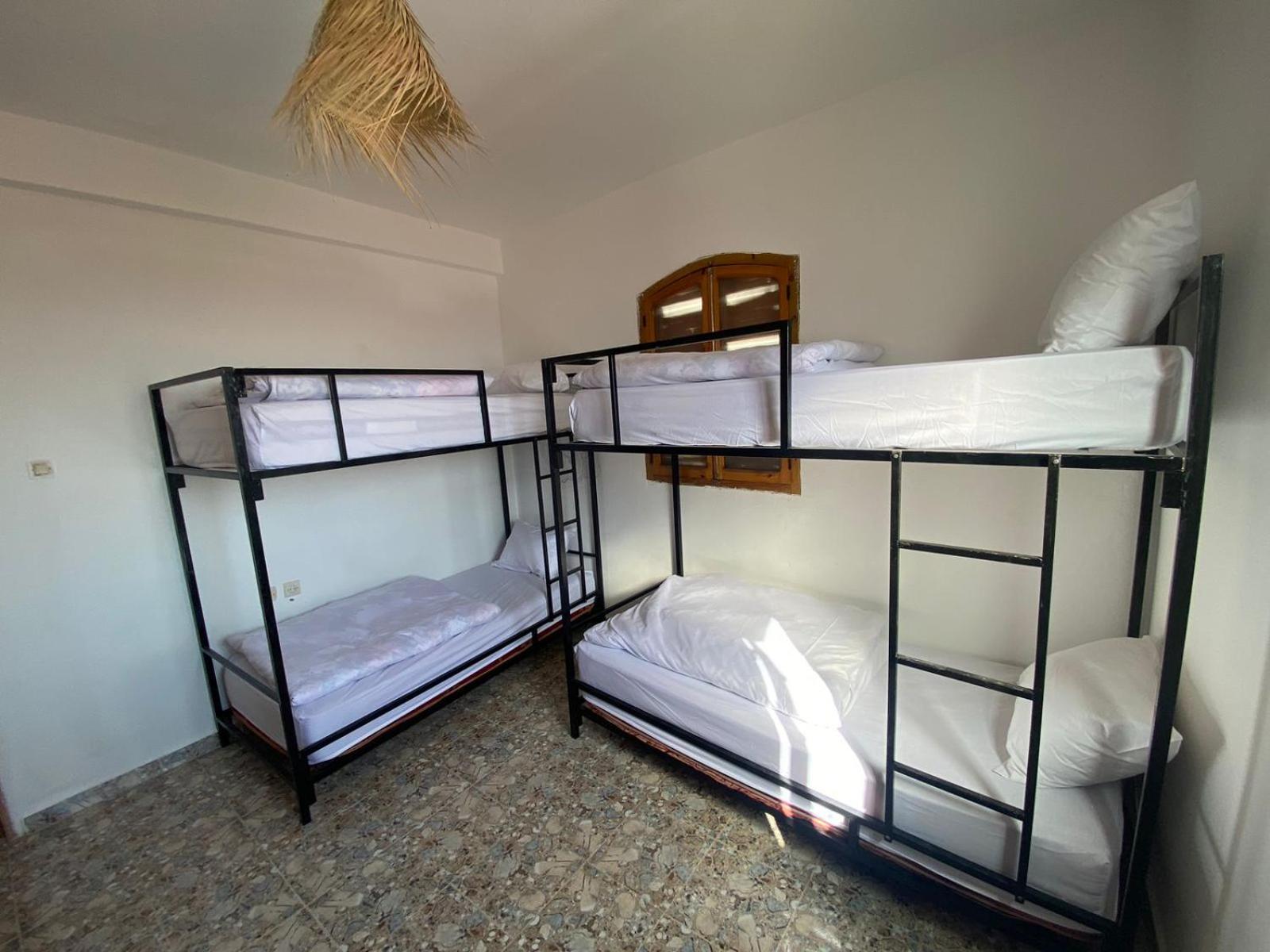 Bed in 6-Bed Female Dormitory Room photo 1