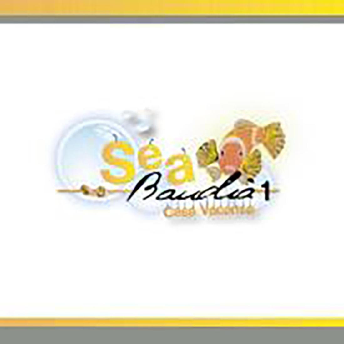 Apartment with Terrace photo 2
