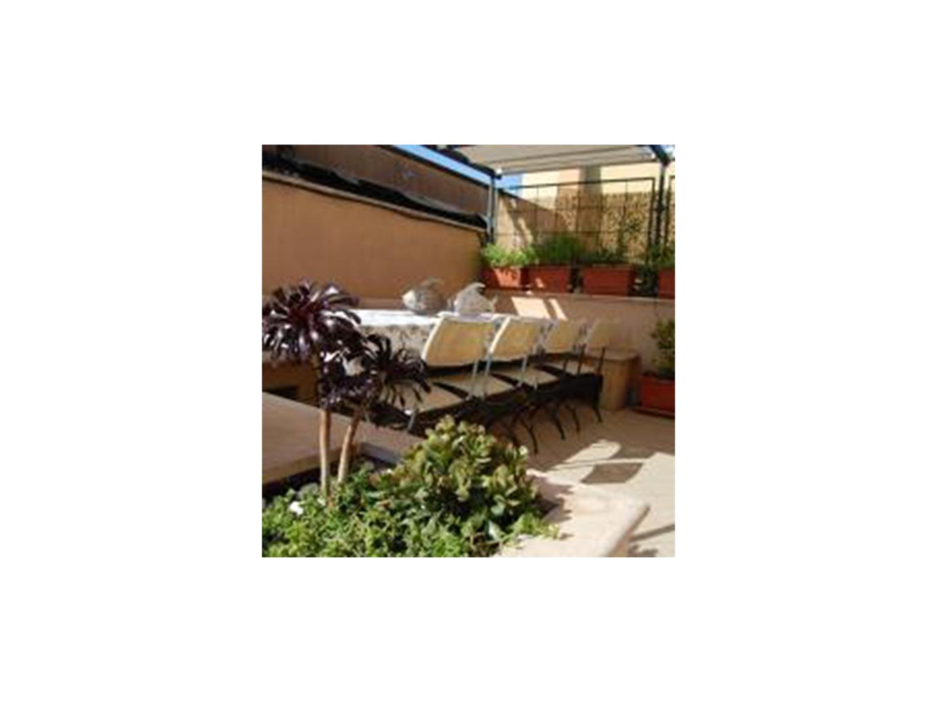 Apartment with Terrace photo 3