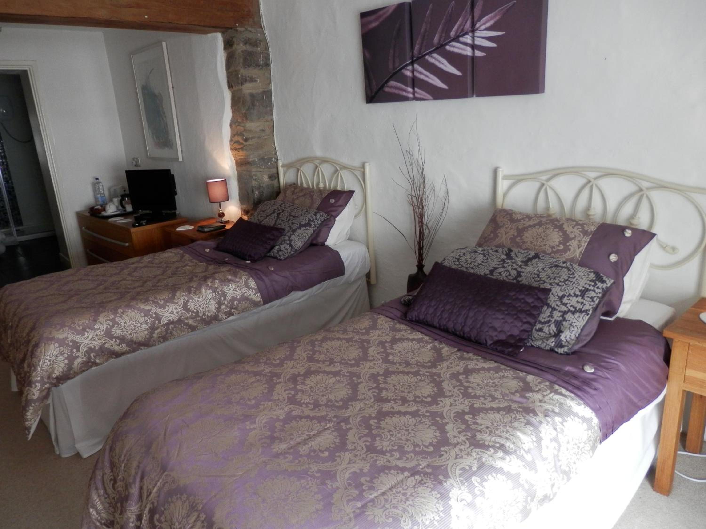 Deluxe Twin Room photo 2