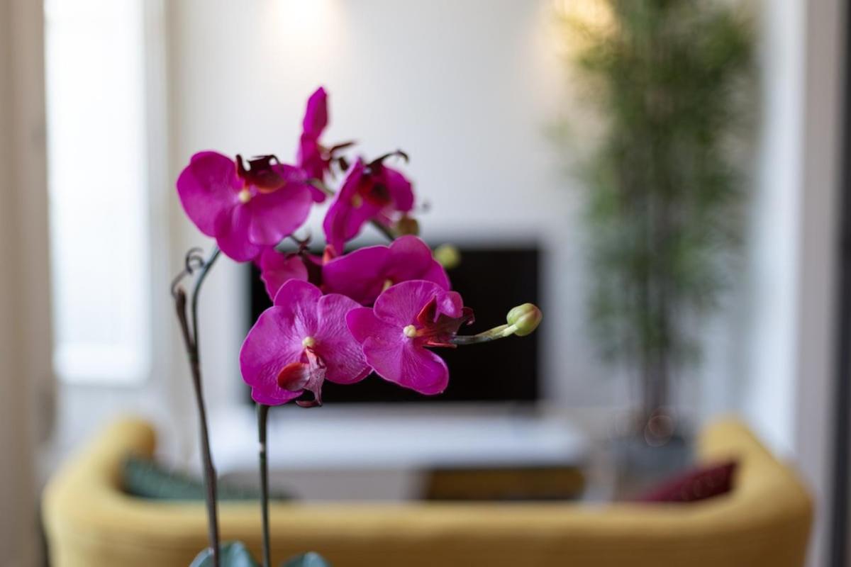Apartment - Photo 18