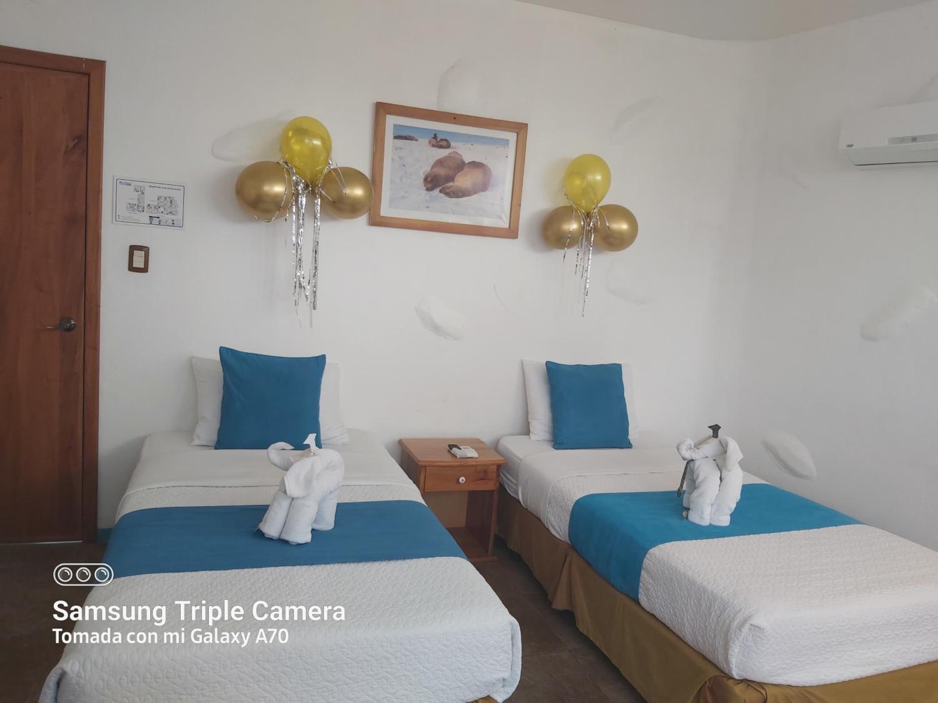 Standard Twin Room photo 1