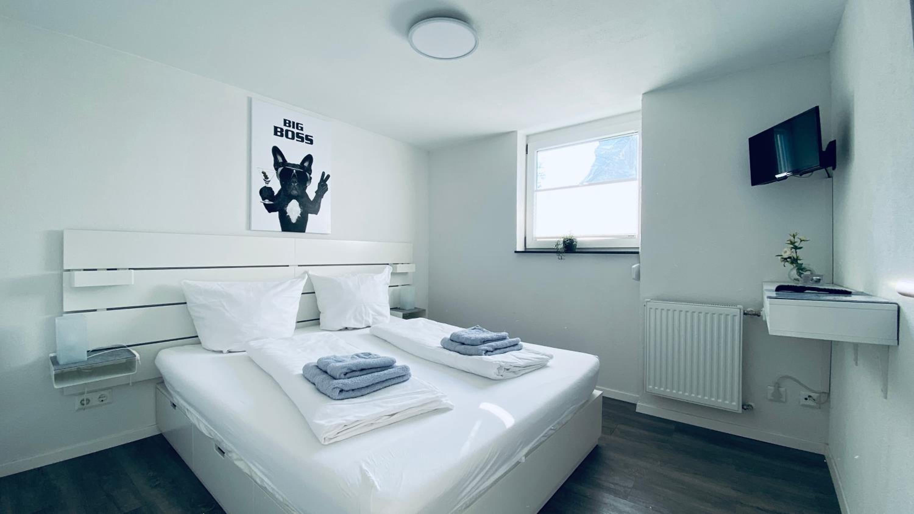One-Bedroom Apartment photo 1