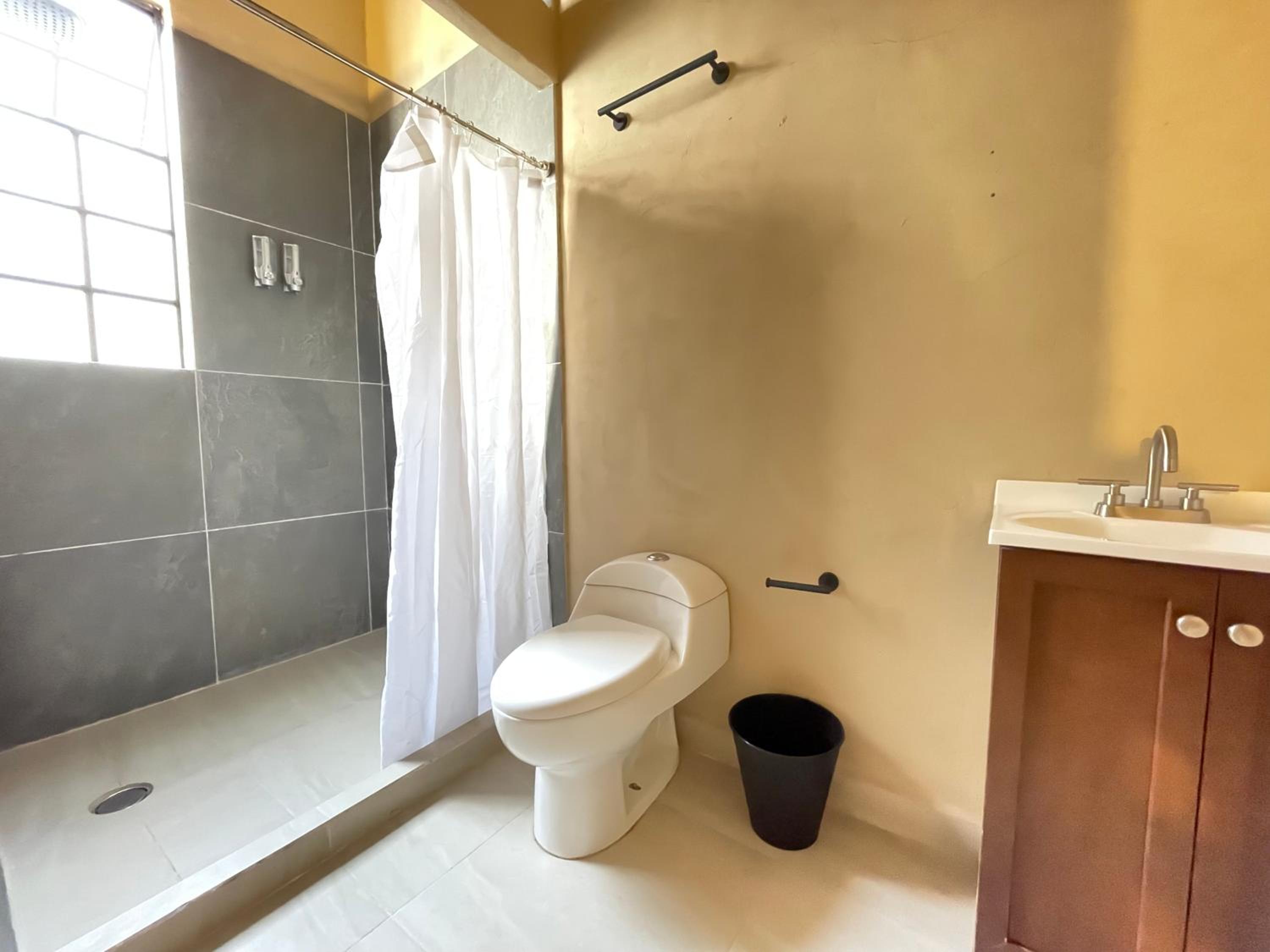 Deluxe King Suite - Photo 4