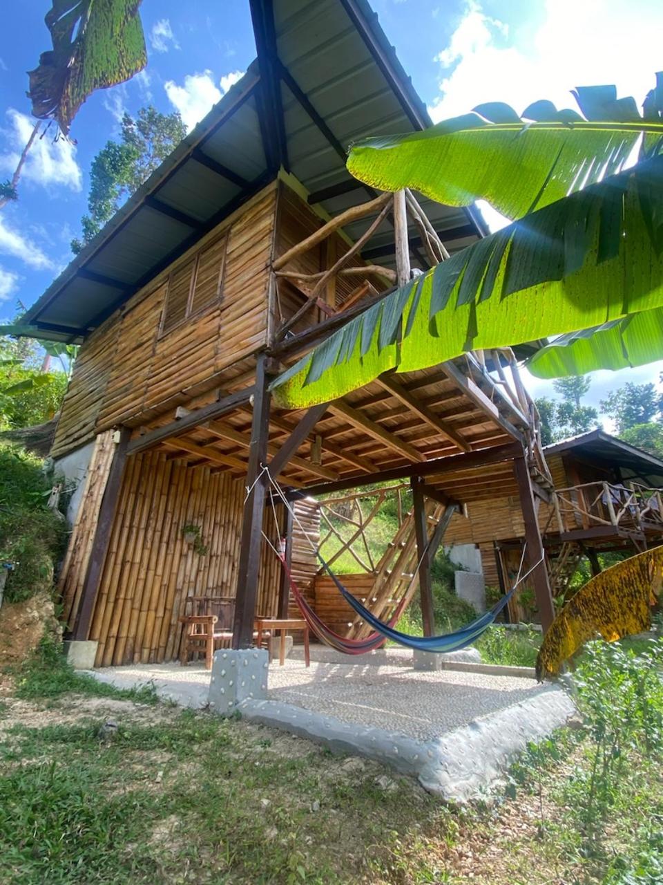 Superior Bungalow - Photo 2