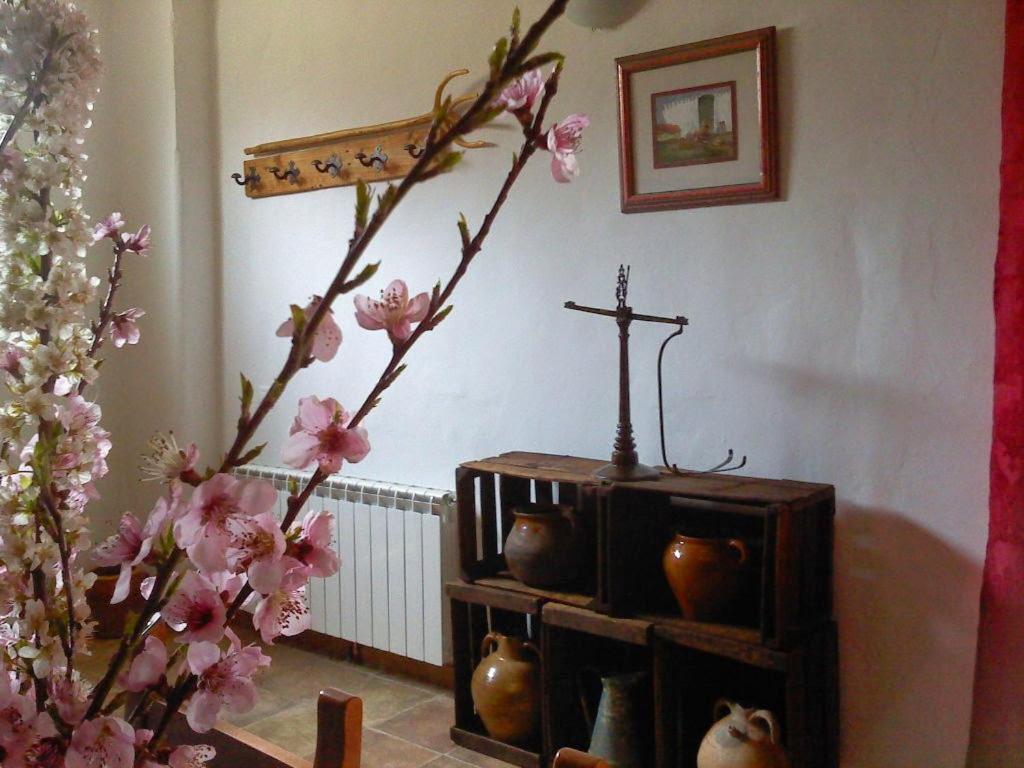 One-Bedroom House photo 2