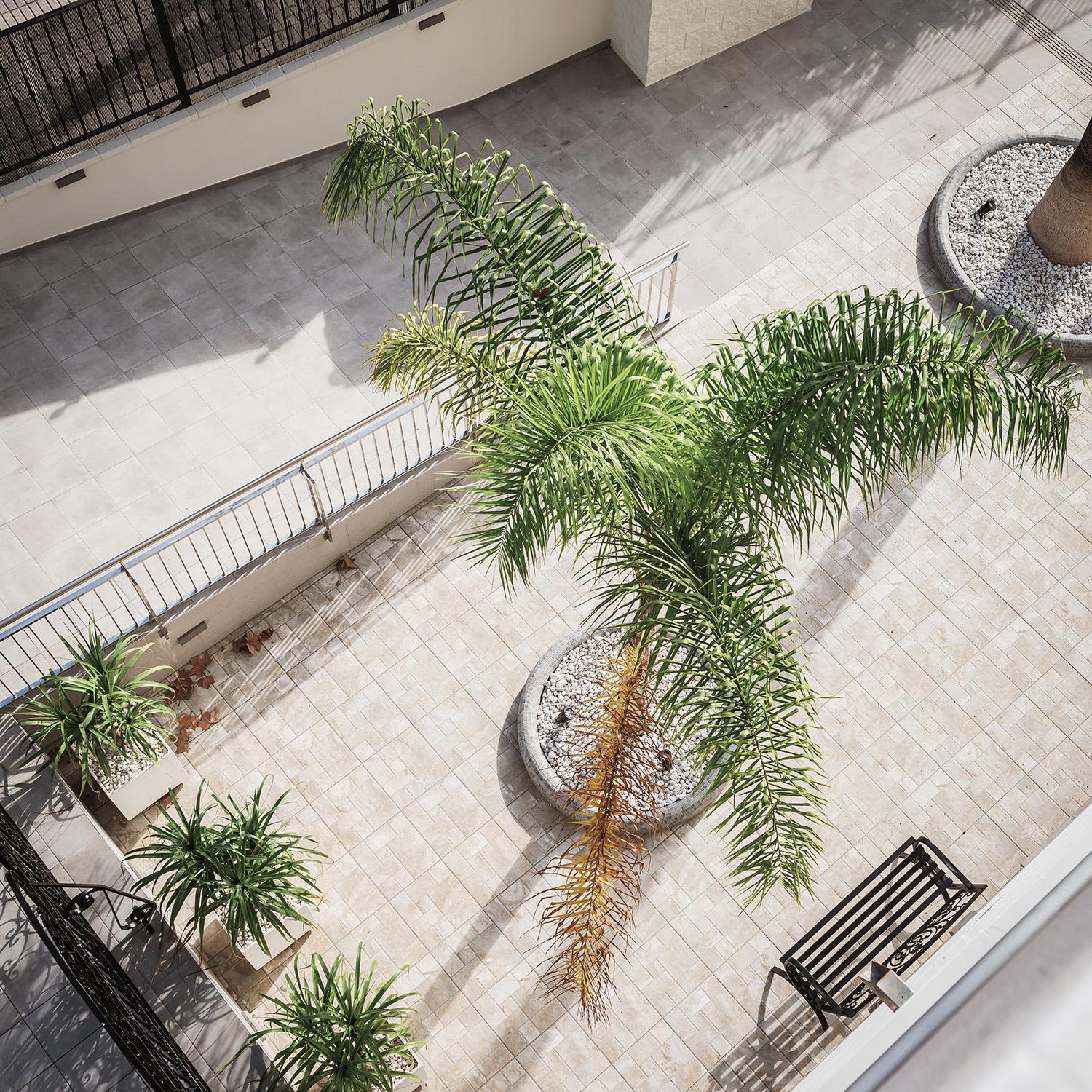 Apartamento con Terraza