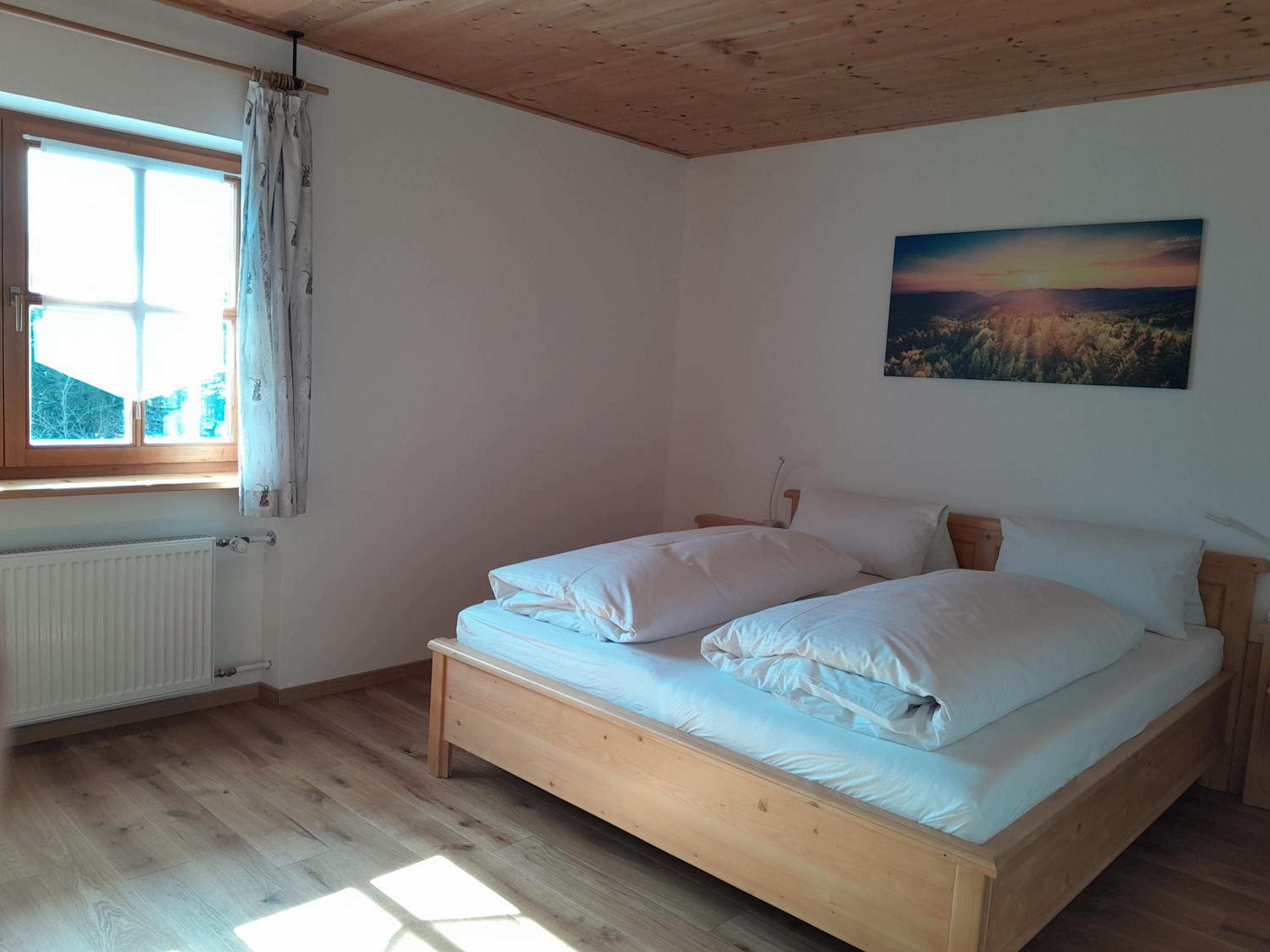 One-Bedroom Apartment (Street Side) photo 3