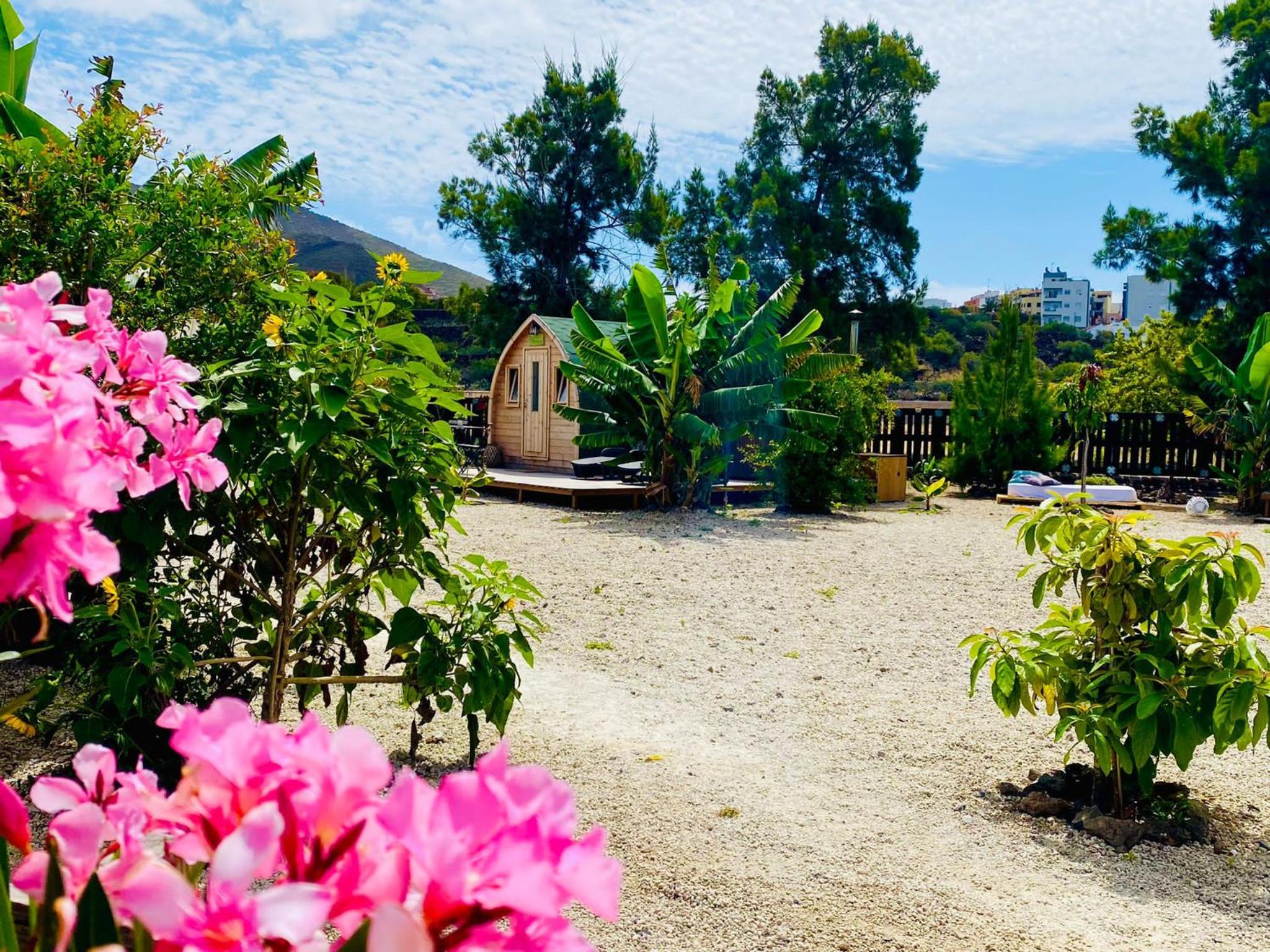 Double Room with Garden View photo 2