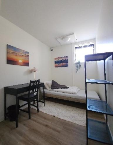 Single Room photo 2
