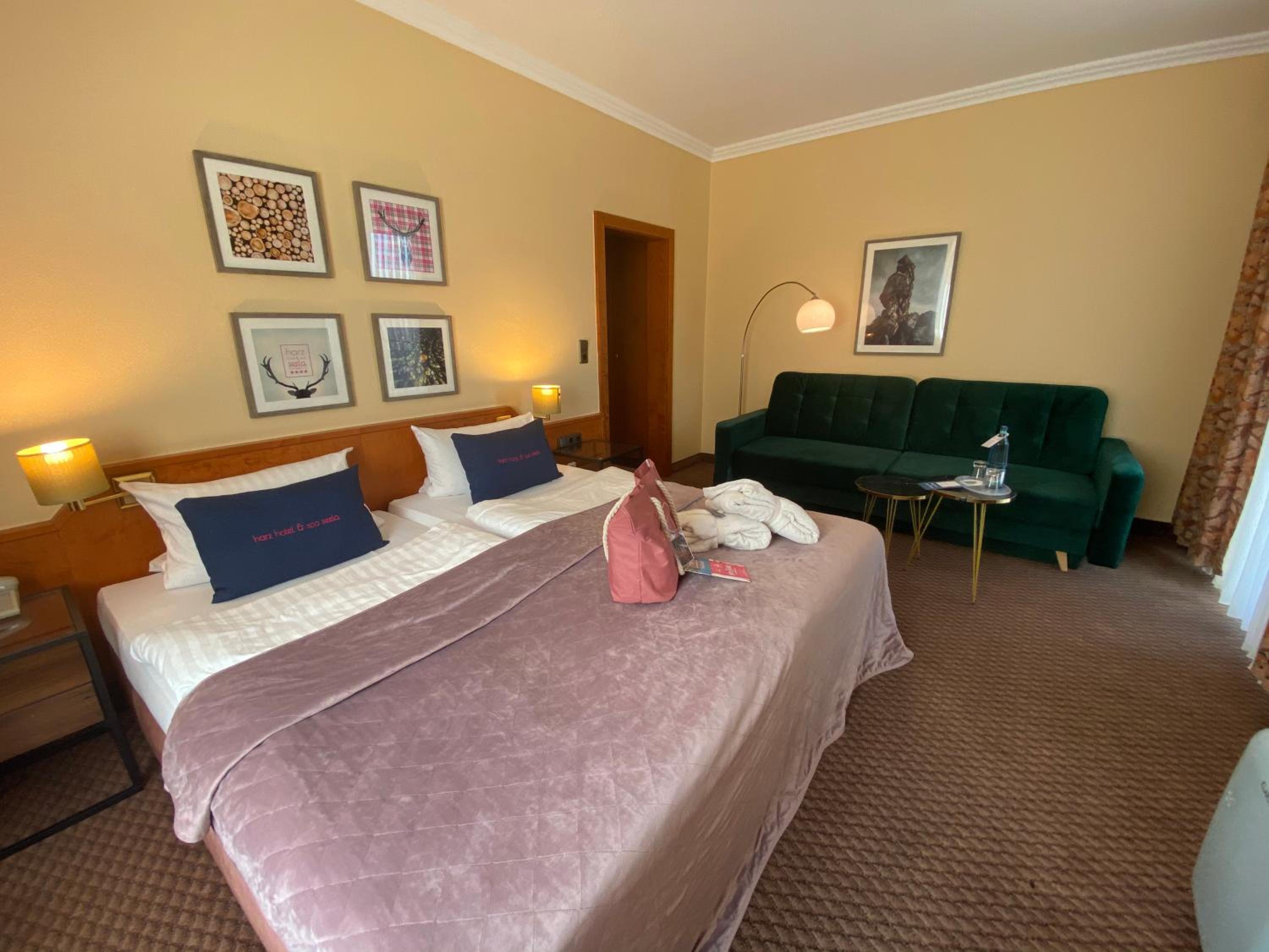 Superior Double Room  "Harz Komfort" photo 1