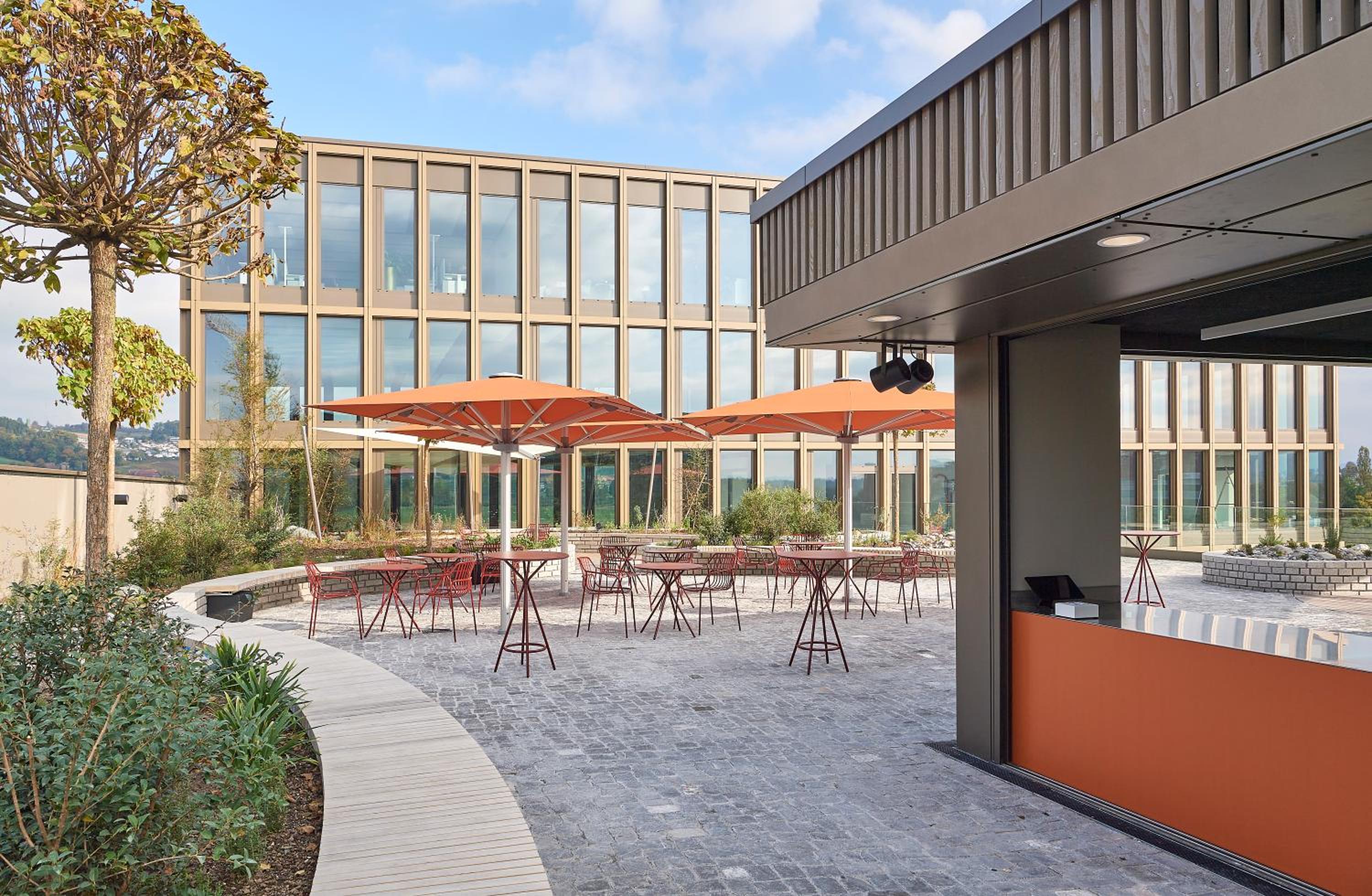 One Bedroom Apartment COSY - Photo 12