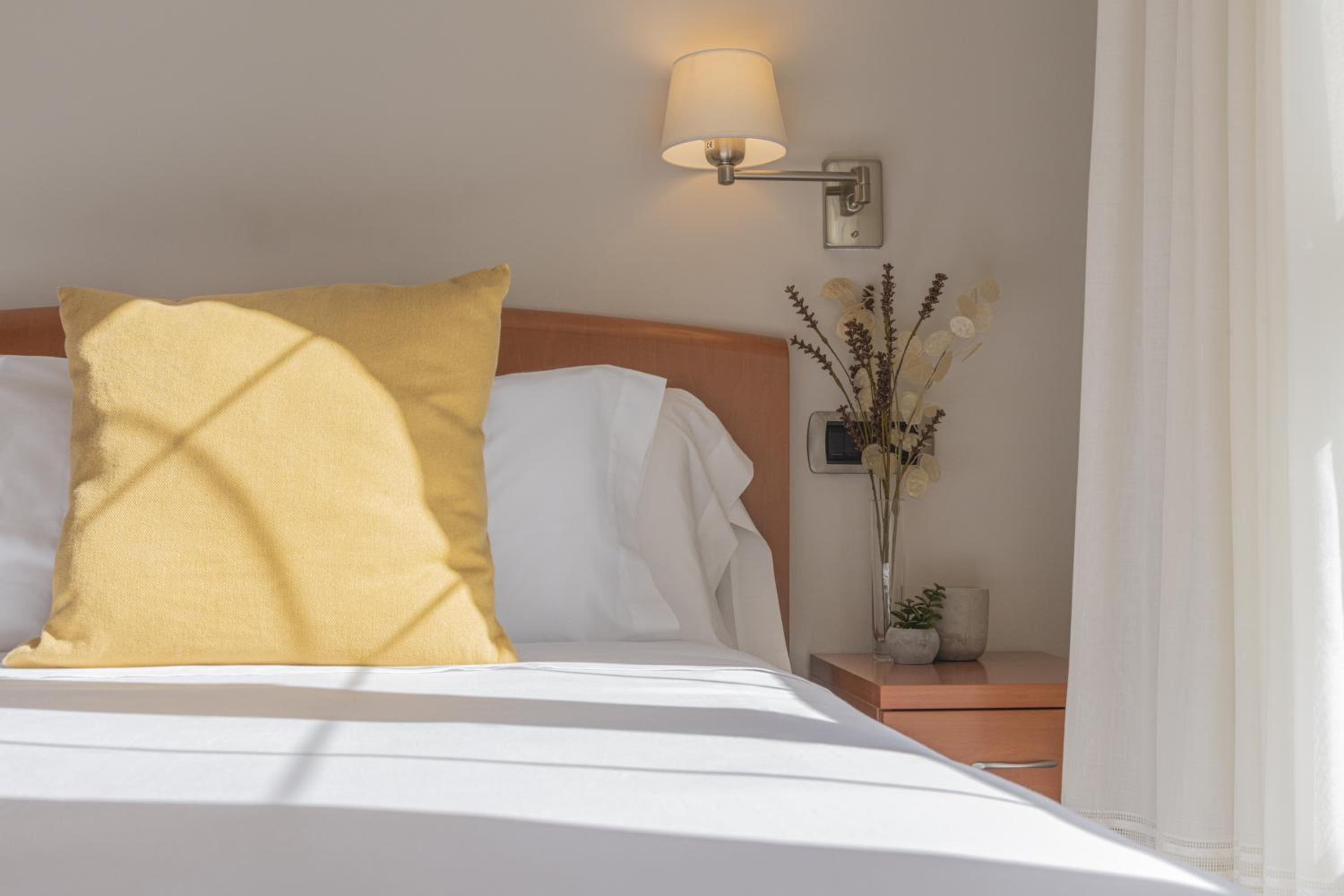Deluxe Single Room photo 2