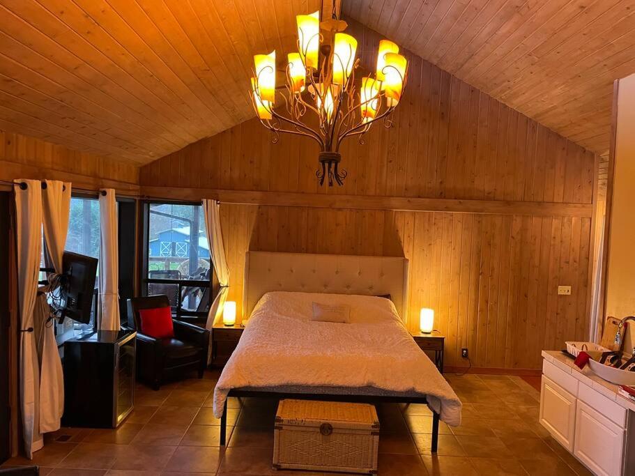 One-Bedroom House photo 1