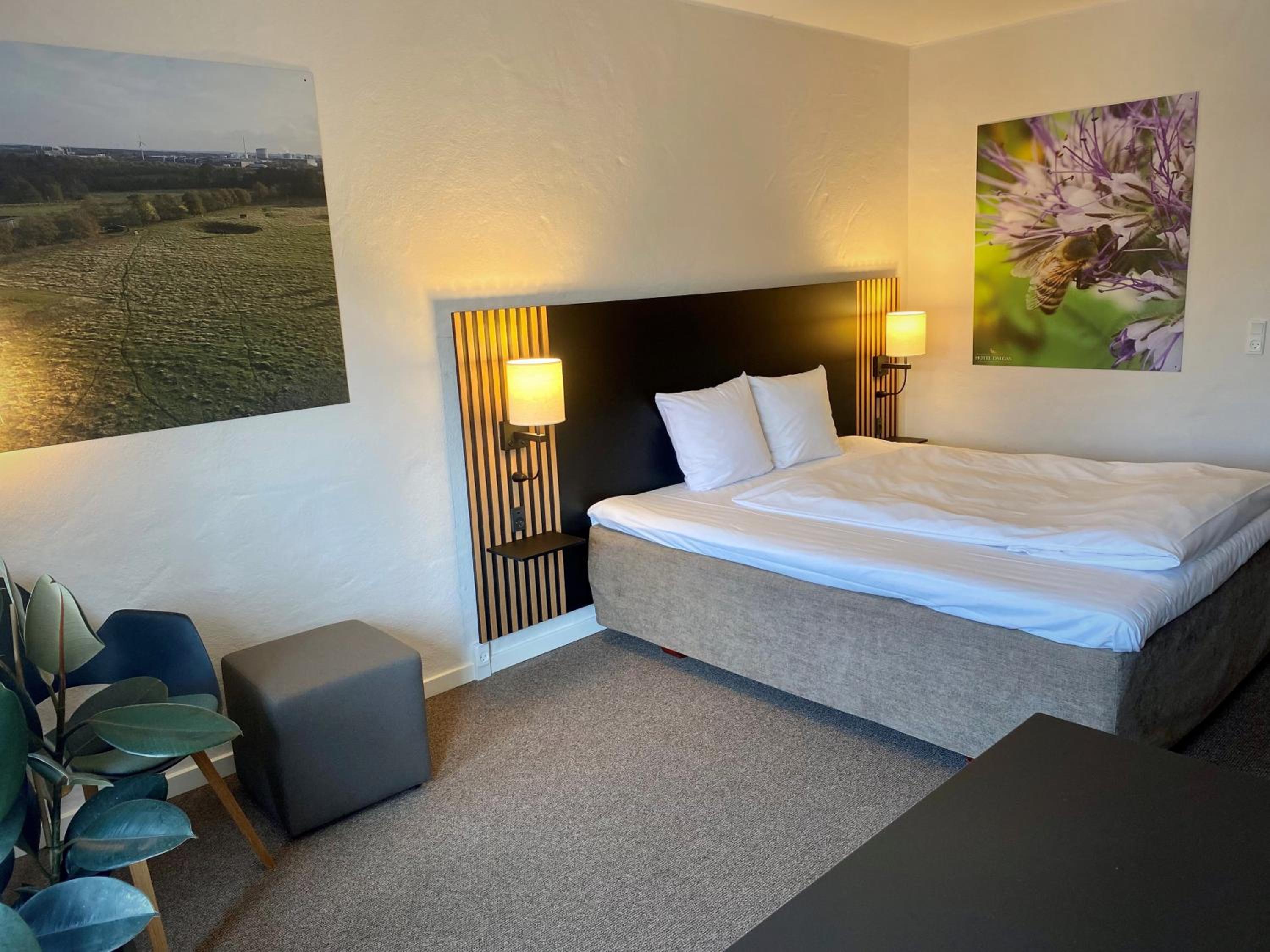 Standard Plus Double Room