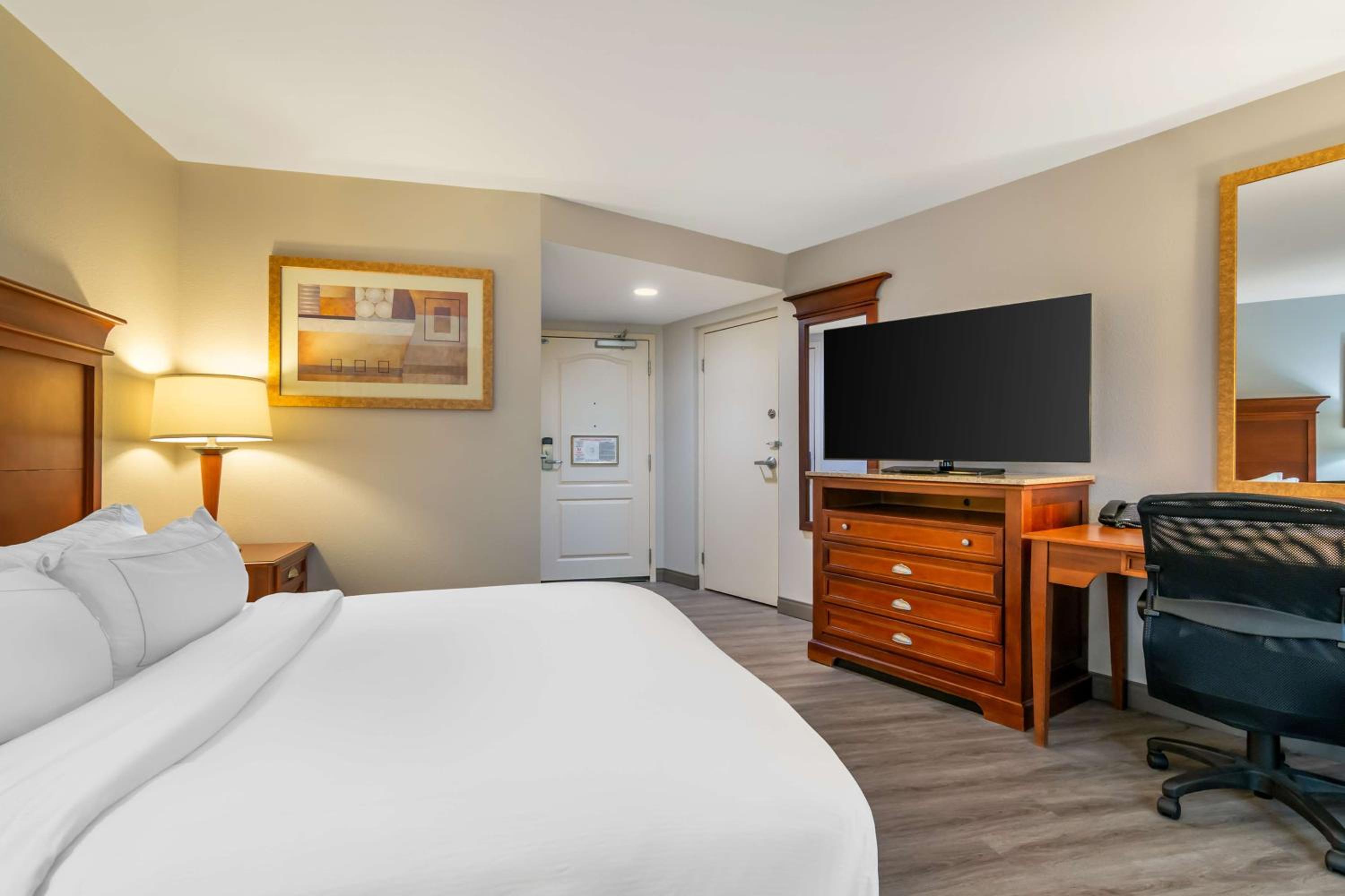 King Room with Roll-in Shower - Mobility and Hearing Accessible/Non-Smoking