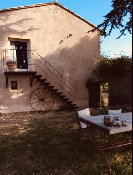 Studio with Garden View